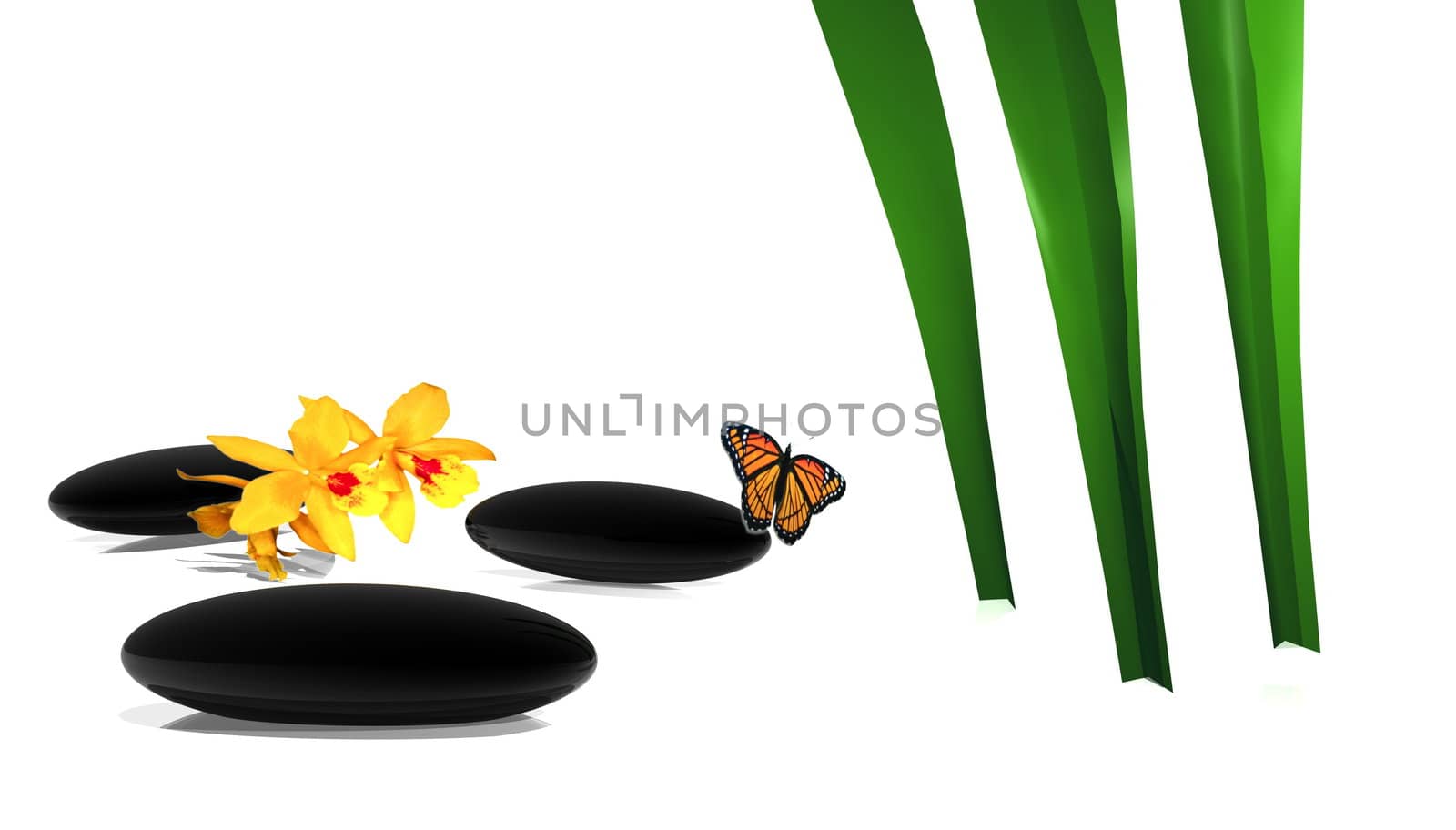 Three black stones, flowers, a butterfly and a green plant in a white background