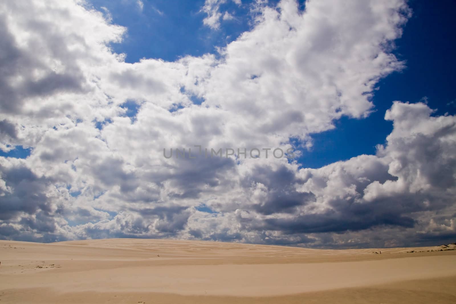 The moving sands in the Polish Desert near Leba