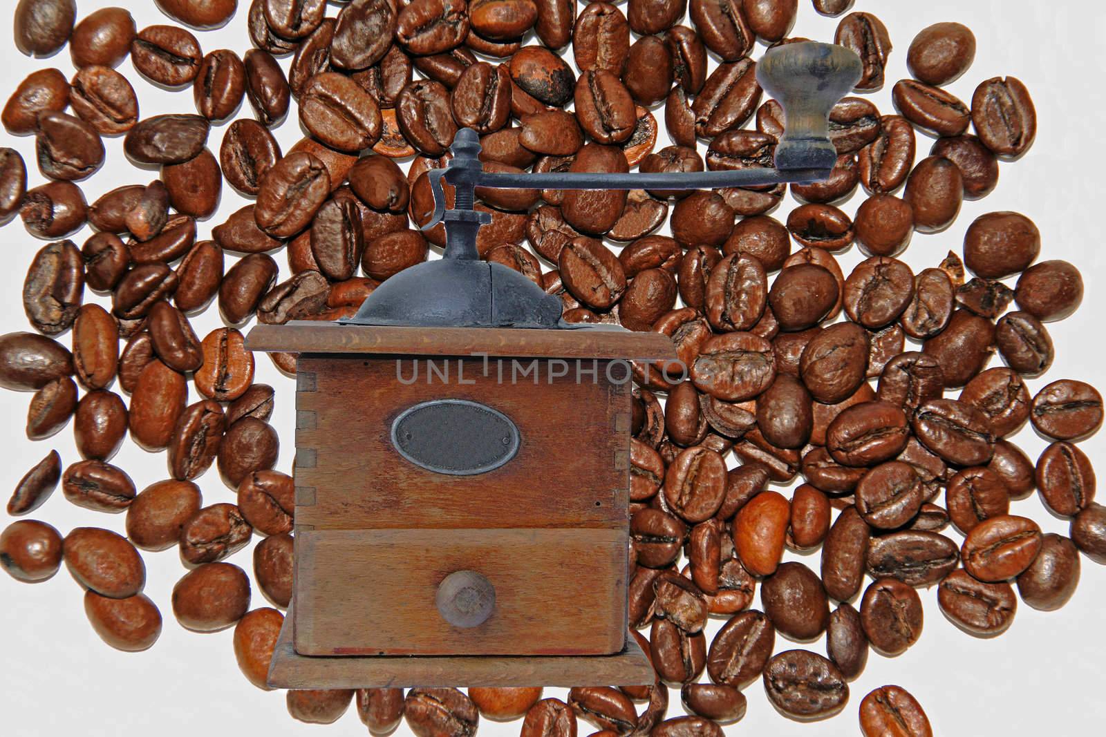 coffee grinder by neko92vl