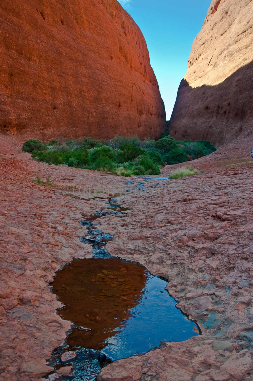 view of Kata Tjuta, australian red center