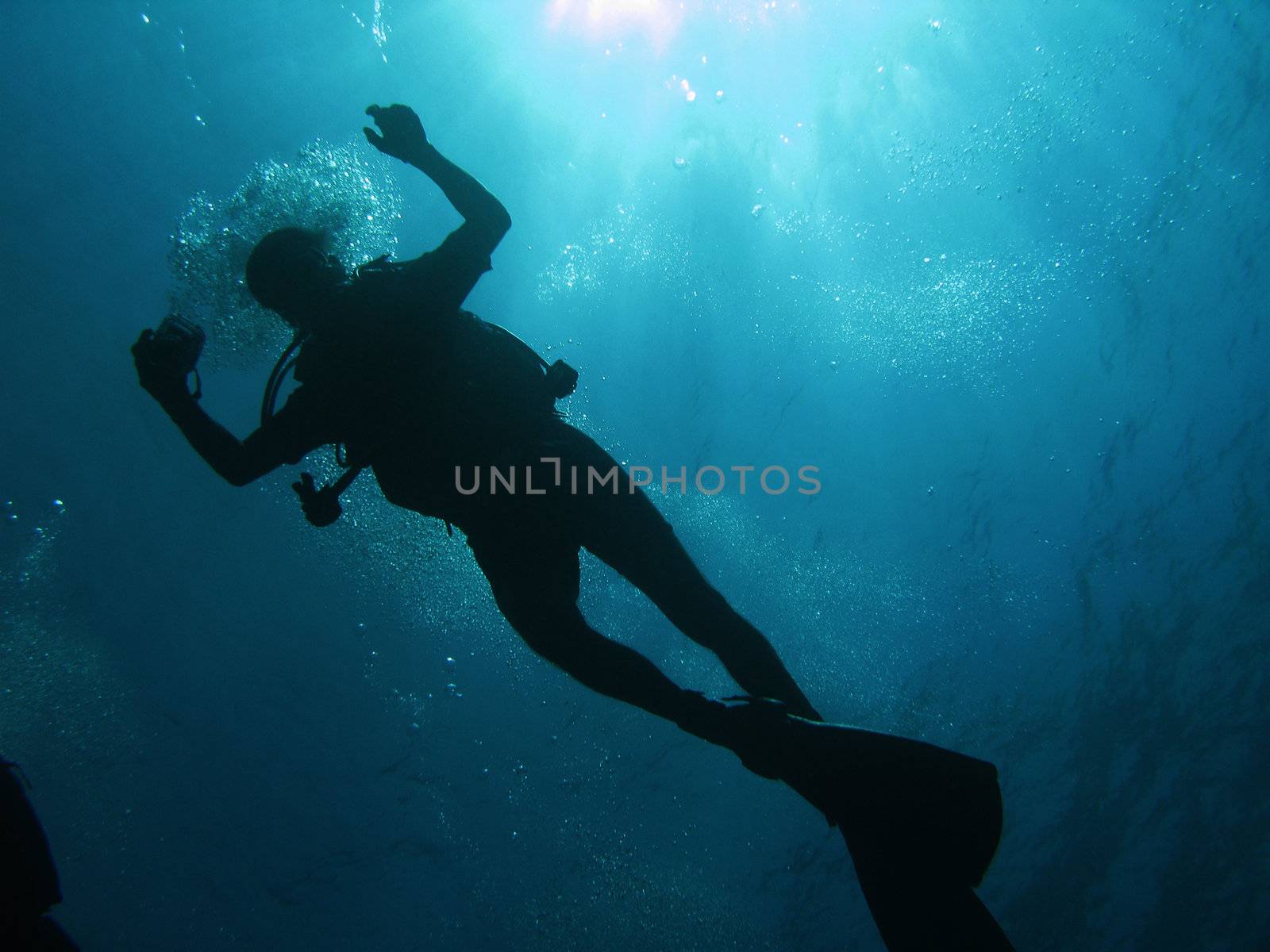 Diver silhouette in backlight.