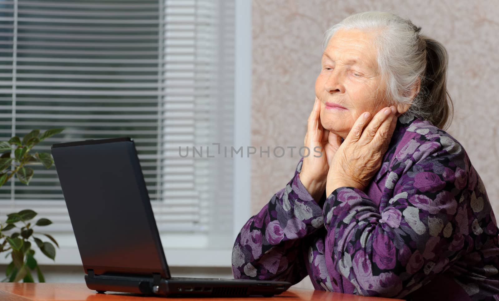 The elderly woman in front of the laptop. A photo in a room