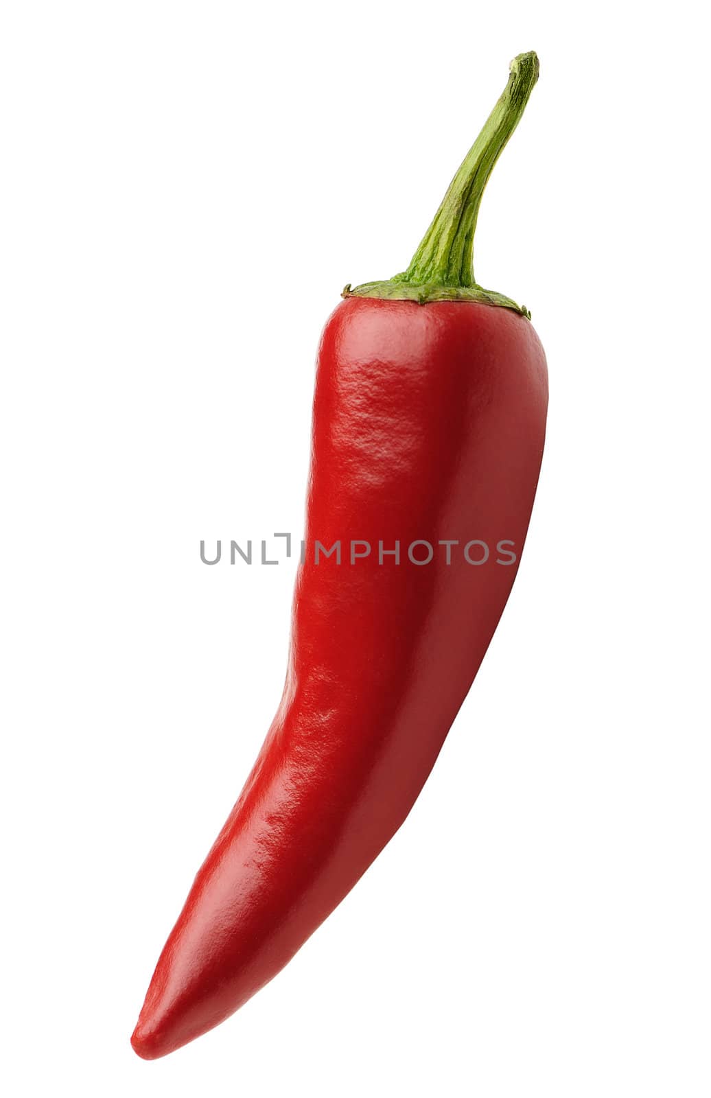 Red bitter pepper. Isolated on white background