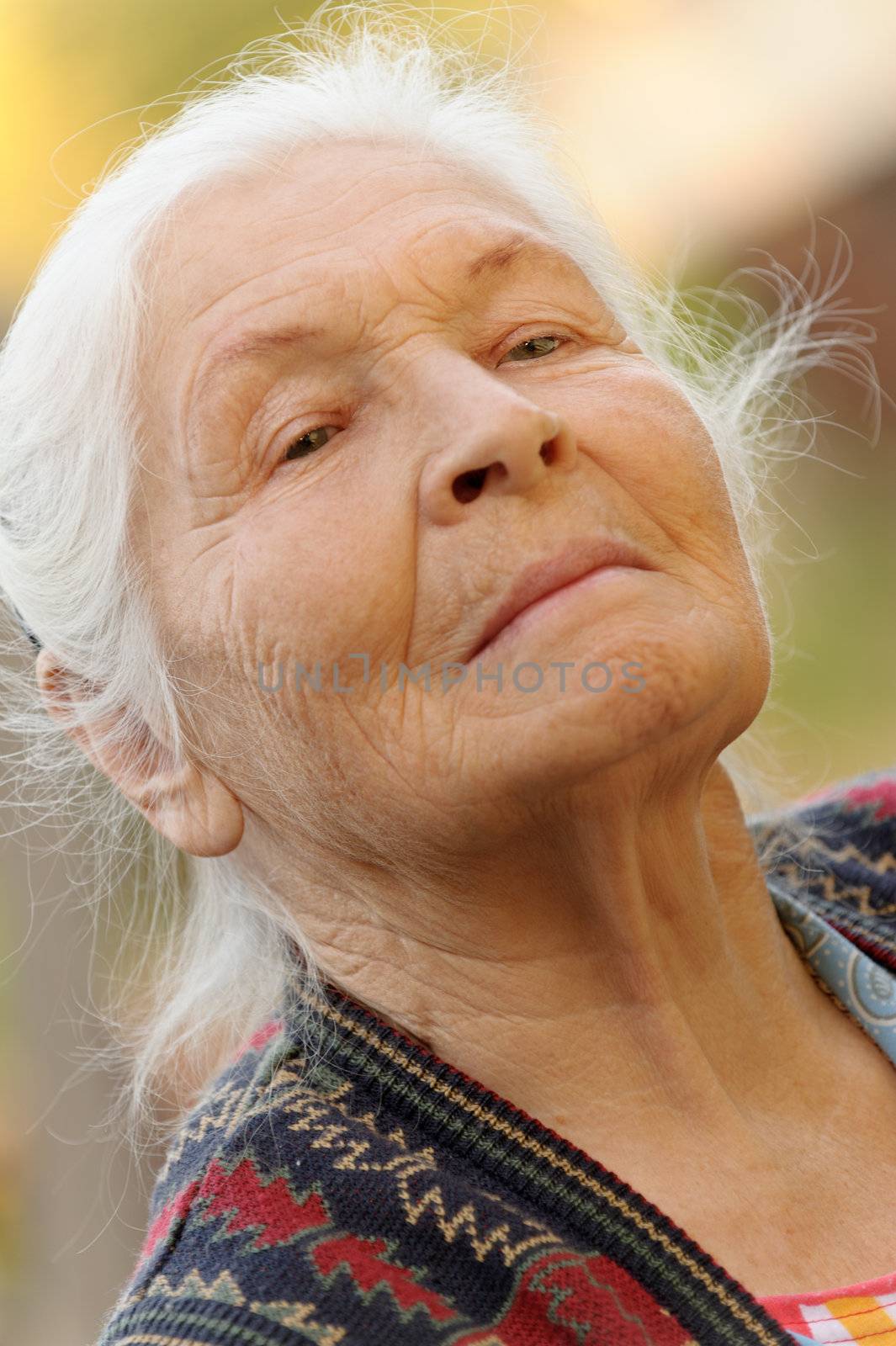 Portrait of the elderly woman. A photo on outdoors