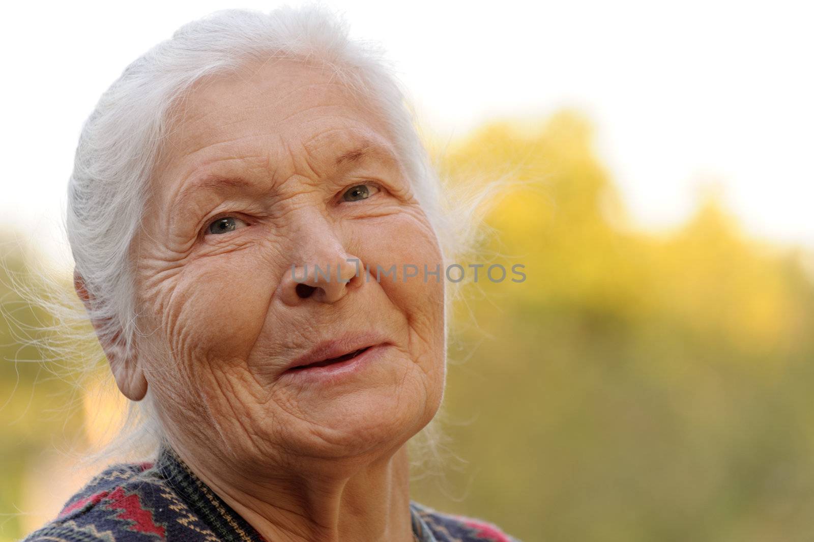 Portrait of the laughing elderly woman. A photo on outdoors