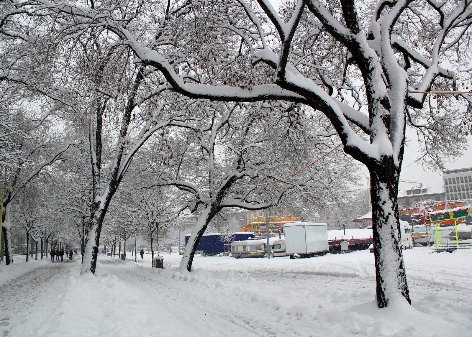Plainpalais place by winter, Geneva, Switzerland by Elenaphotos21