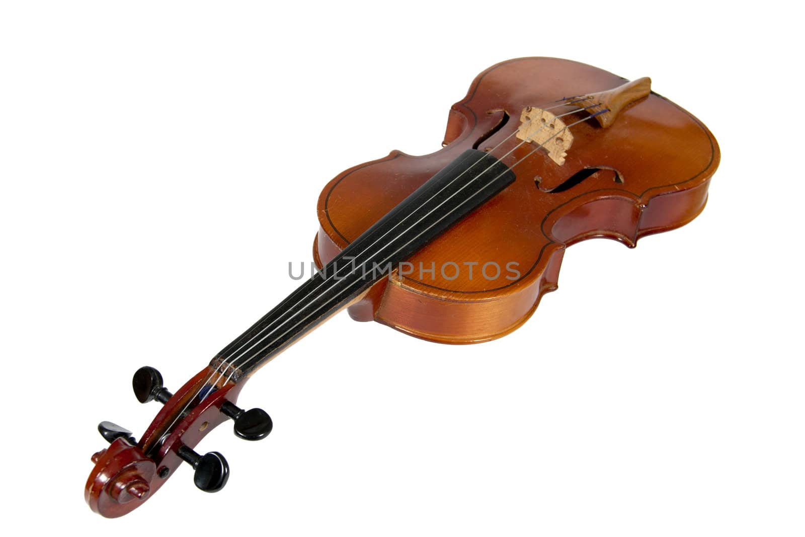 Violin, isolated on a white background