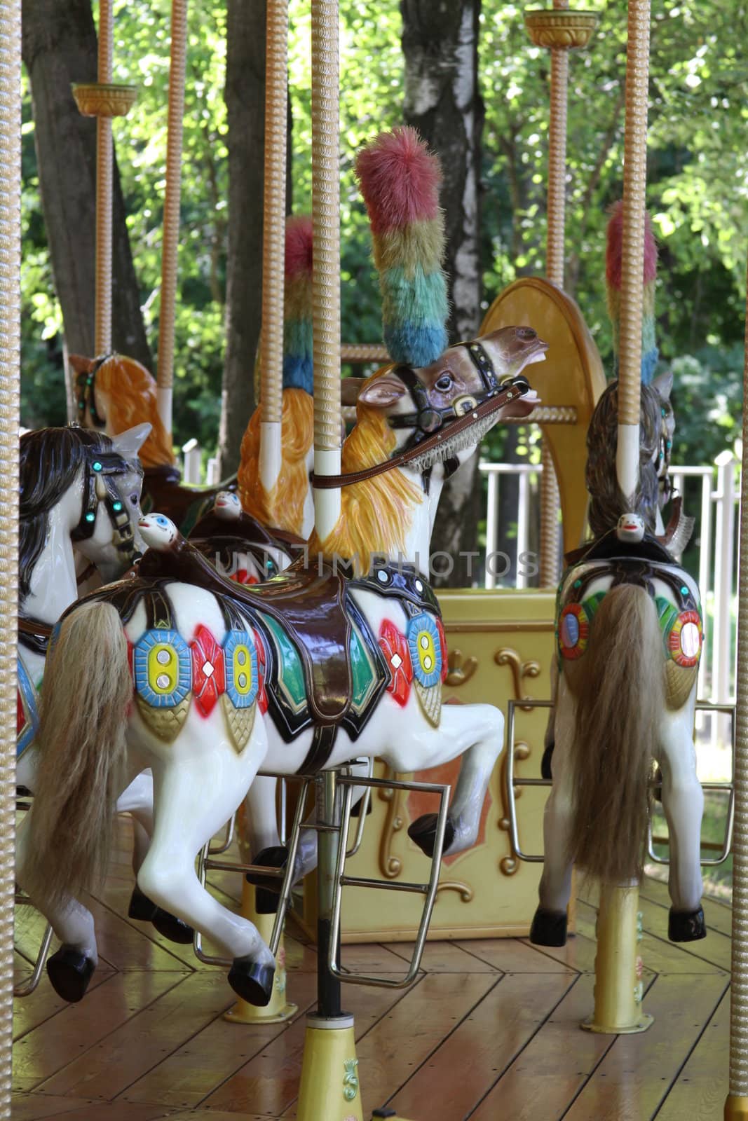 Carousel ride close up in an amusement park.