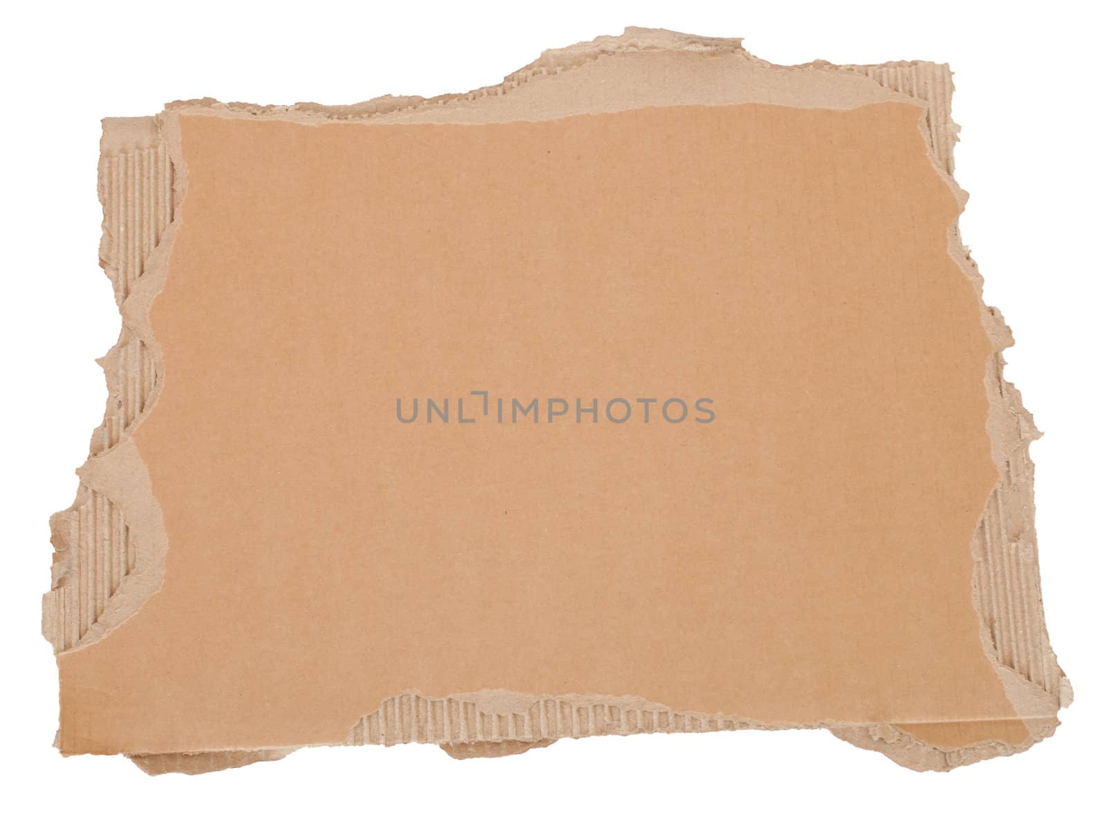 Torn Brown Cardboard Background Isolated on White