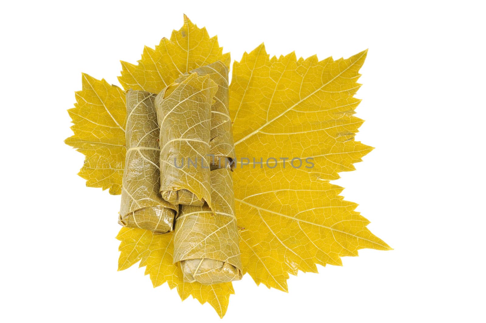 Dolma on grape leaf. Isolated on white background.