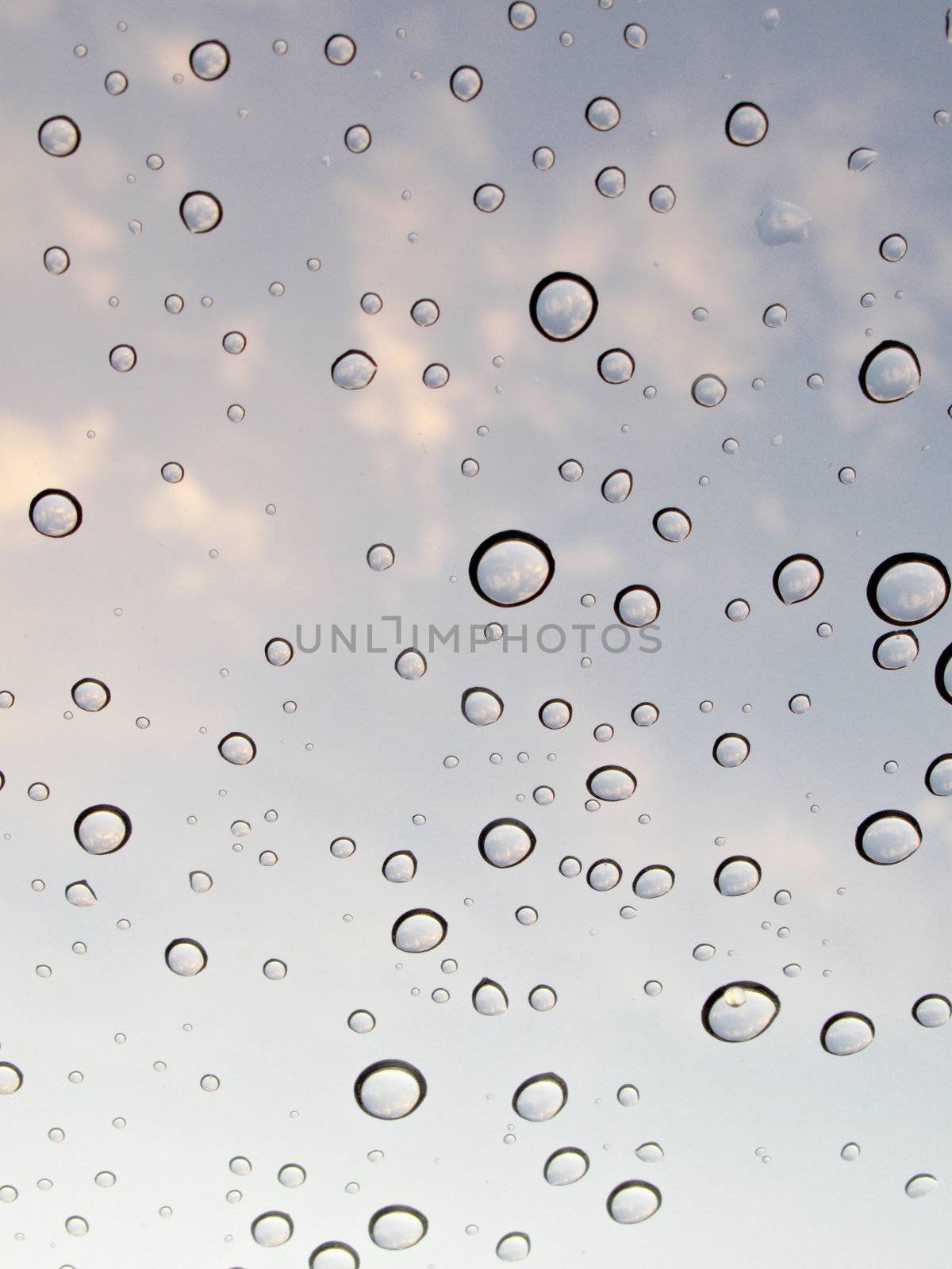 Water Drops with Sky Reflections