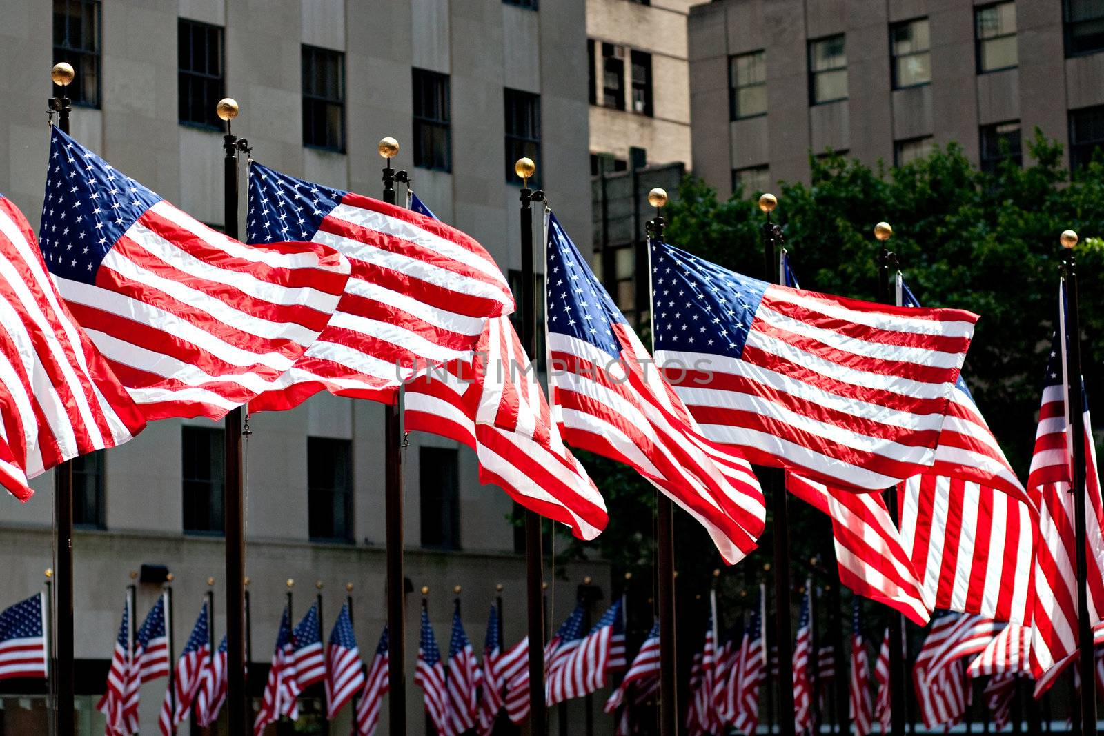 Flags of the United States for 4th of July in front of buildings