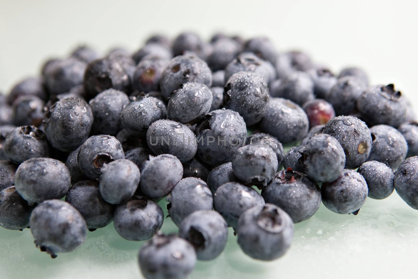 Bunch of fresh, misty blueberries