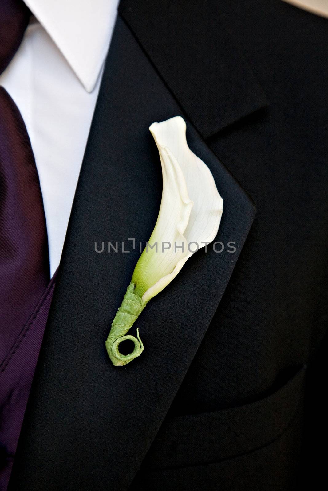 Groom in black wedding suit wearing a tulip Boutonniere by svenler