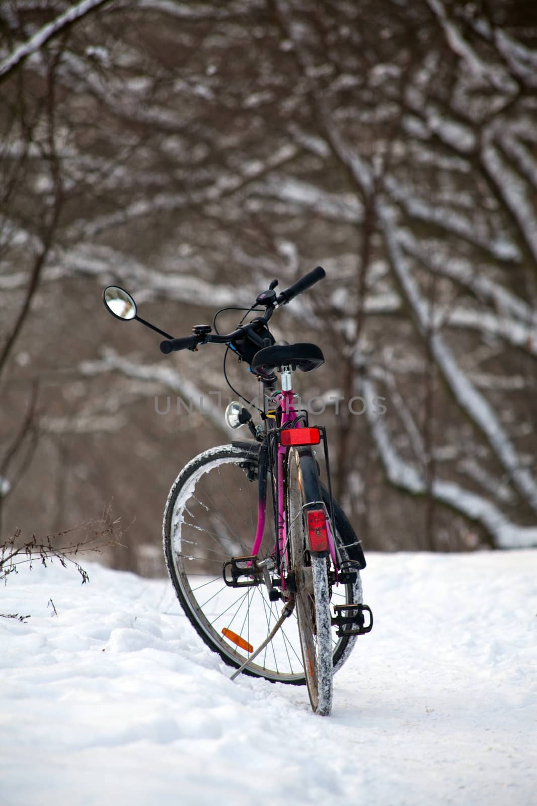 Bikes standing on snowy road in the woods
