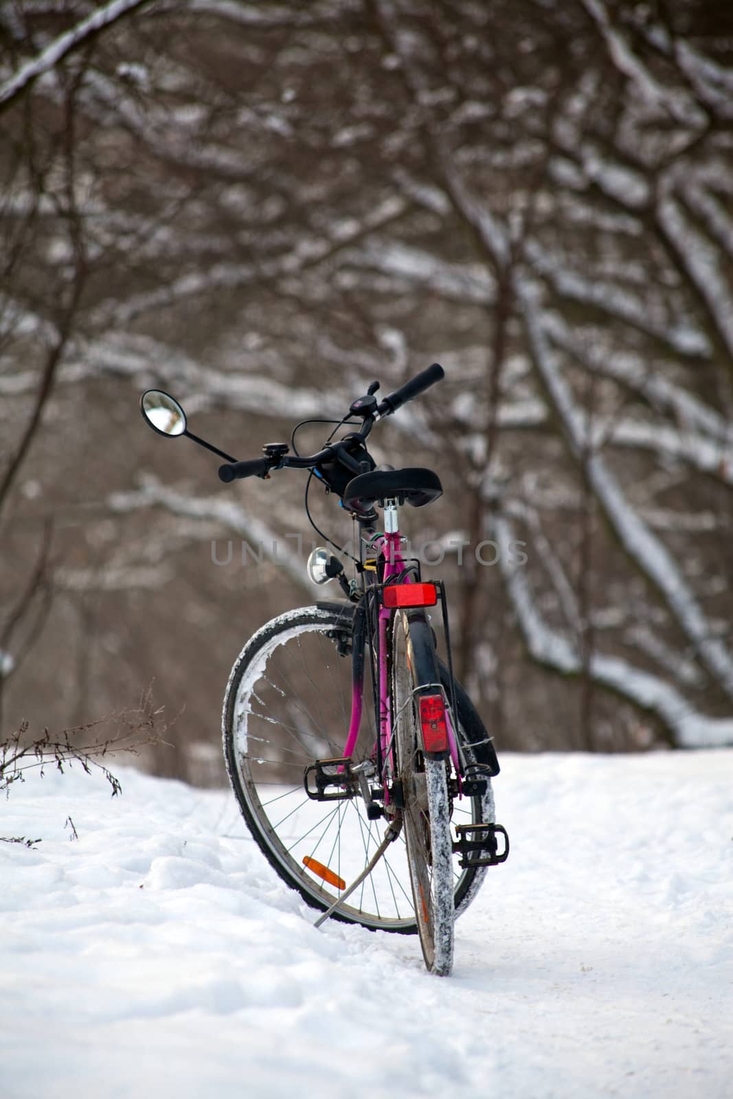 Bike standing in the woods by remik44992