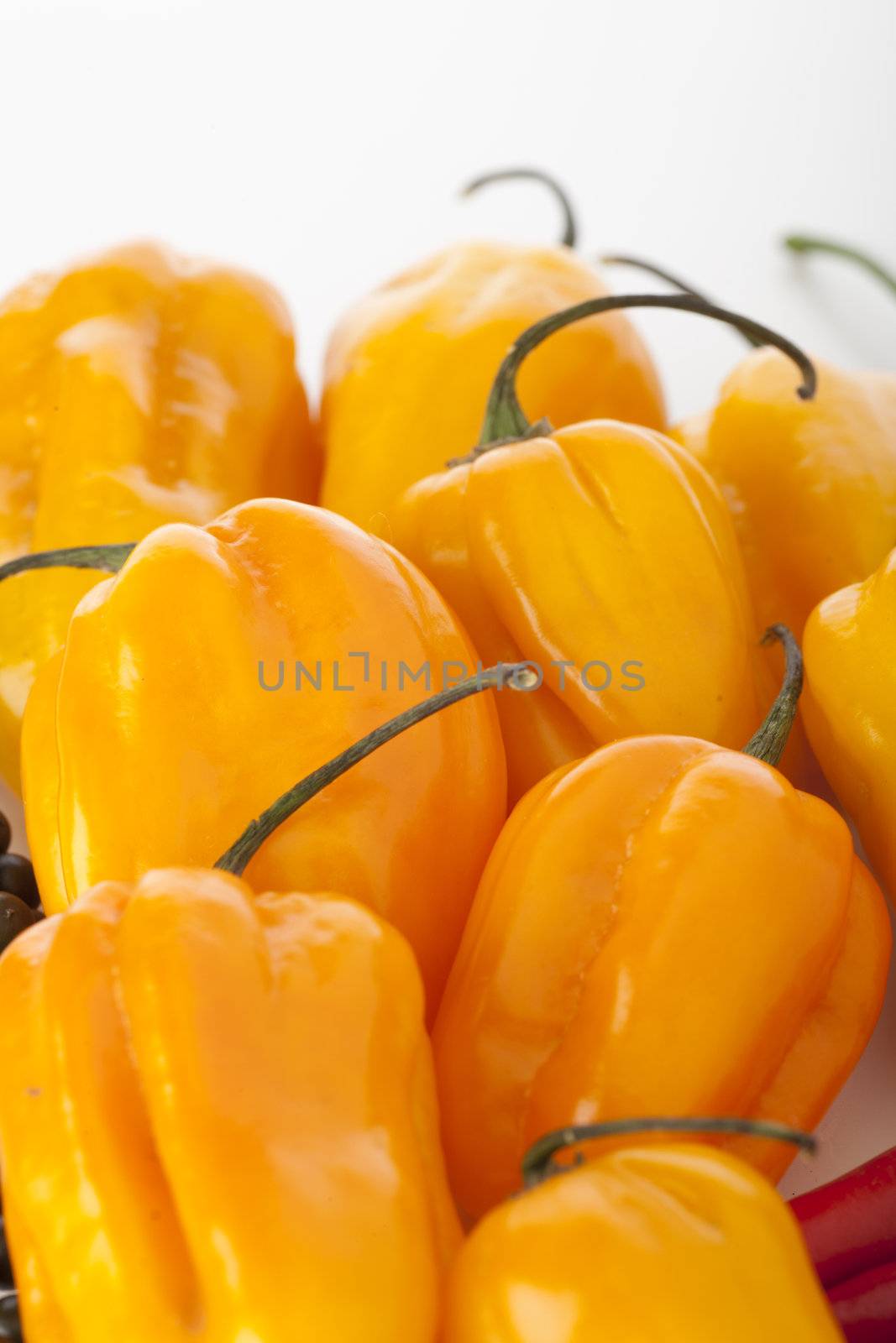 Group of scotch bonnets with some copy space at top.