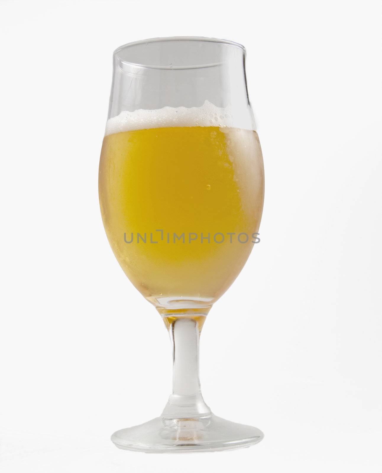 Close up of a glass of lager beer