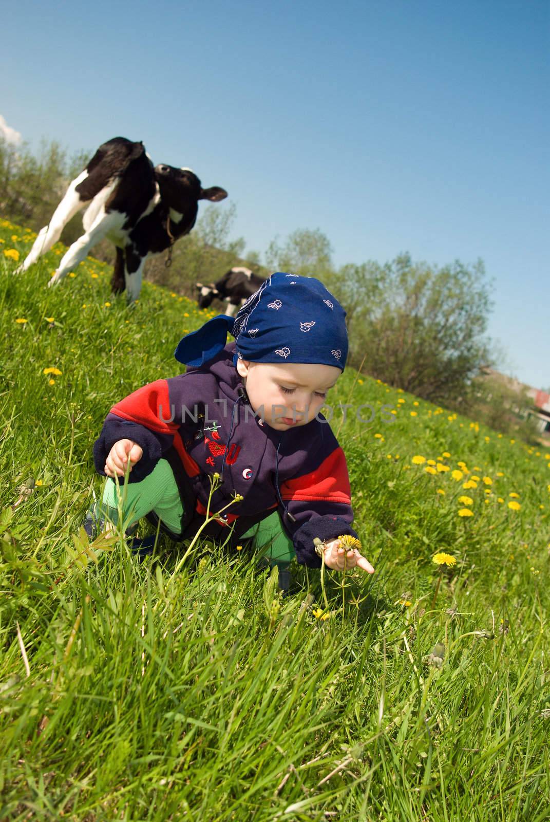 the child on year meadow.Rural boy