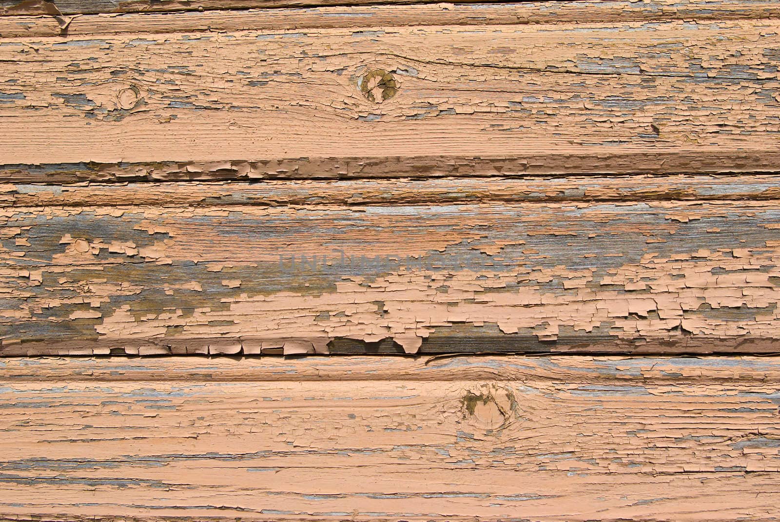 close up view of wooden wall.Wood texture background