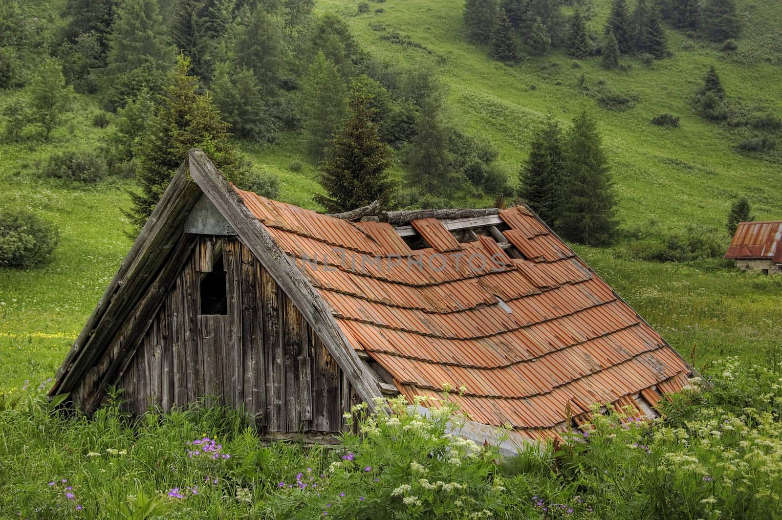 Old hut in the middle of an alpine meadow