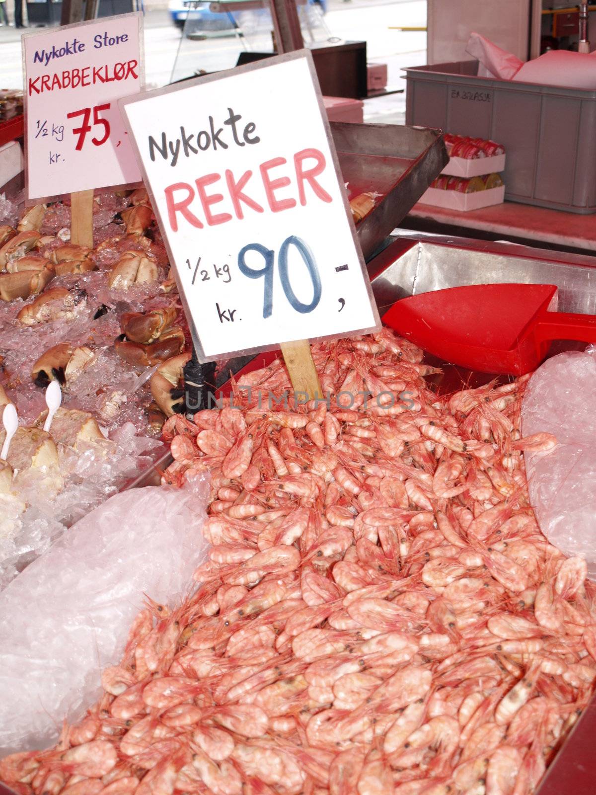 shrimps in Bergen fishmarket