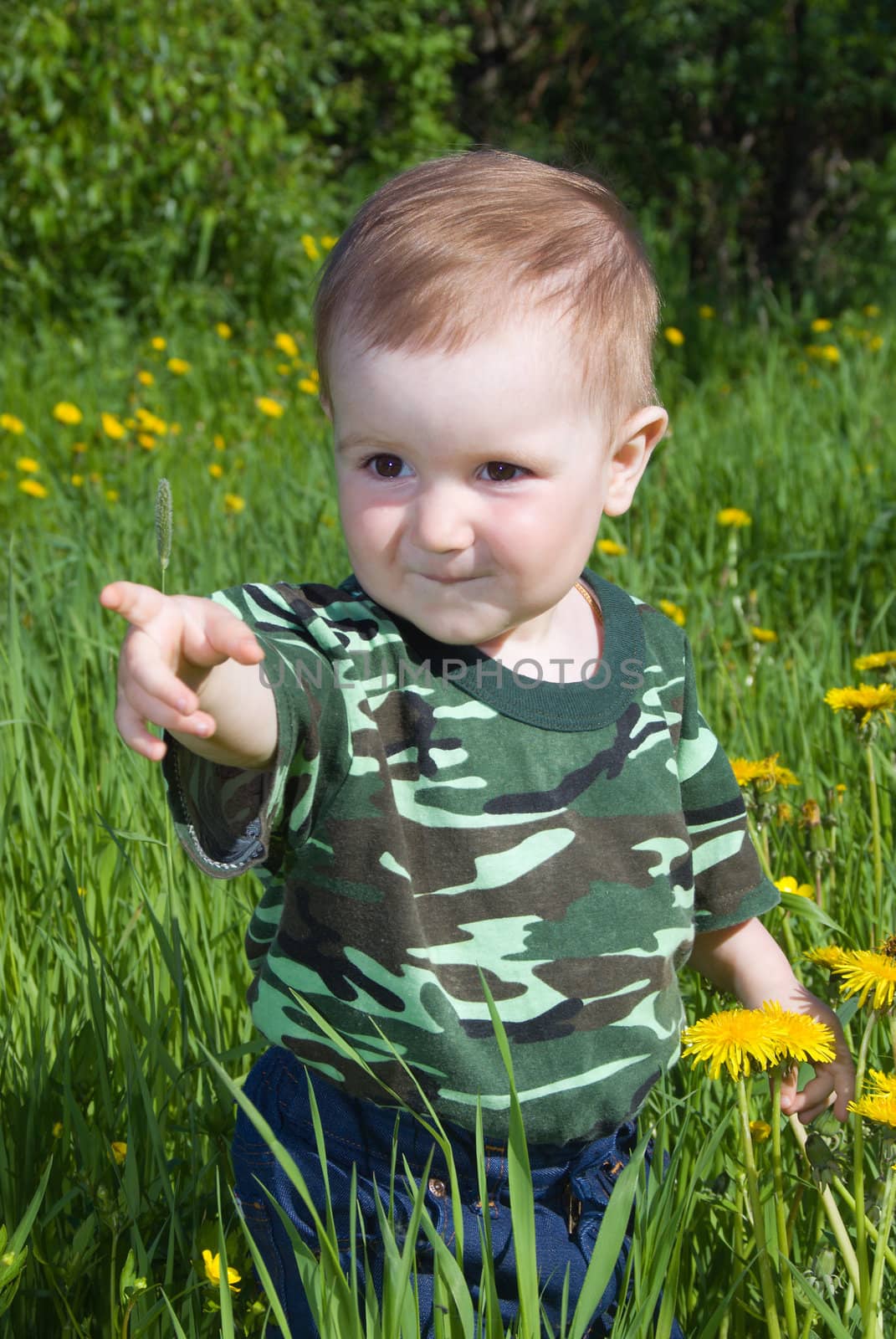 Little child collects yellow flowers (Dandelions) on a meadow.