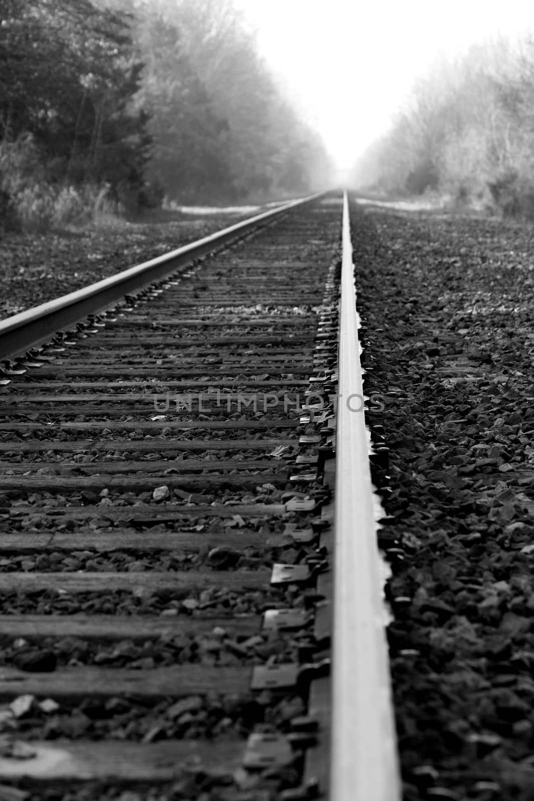 Railroad tracks