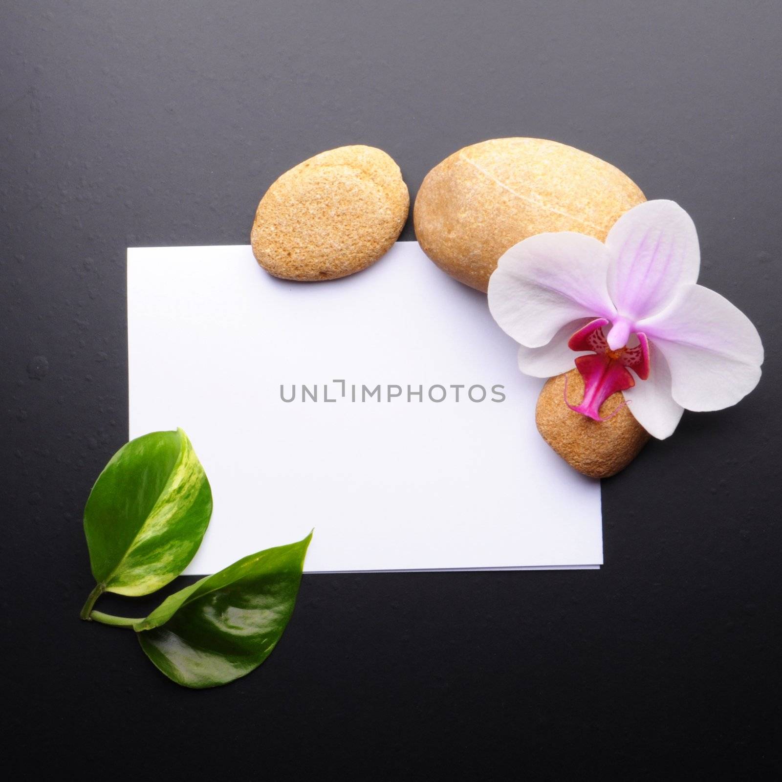 spa or wellness concept with blank and empty sheet paper on white