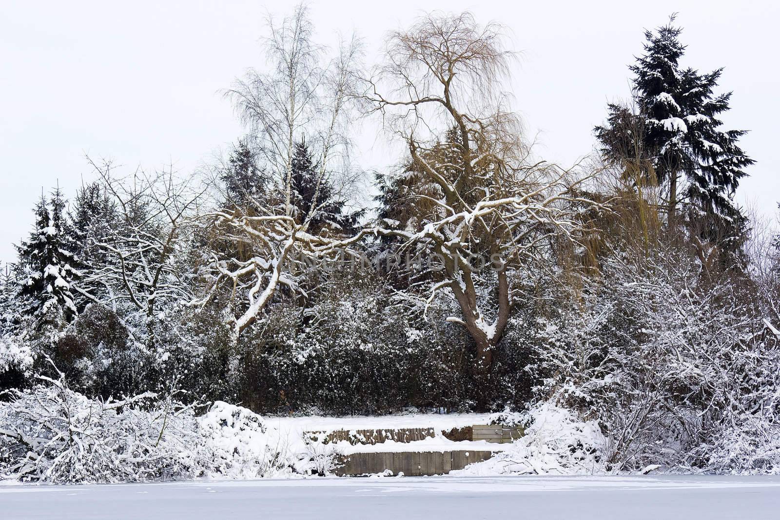 winter park in snow