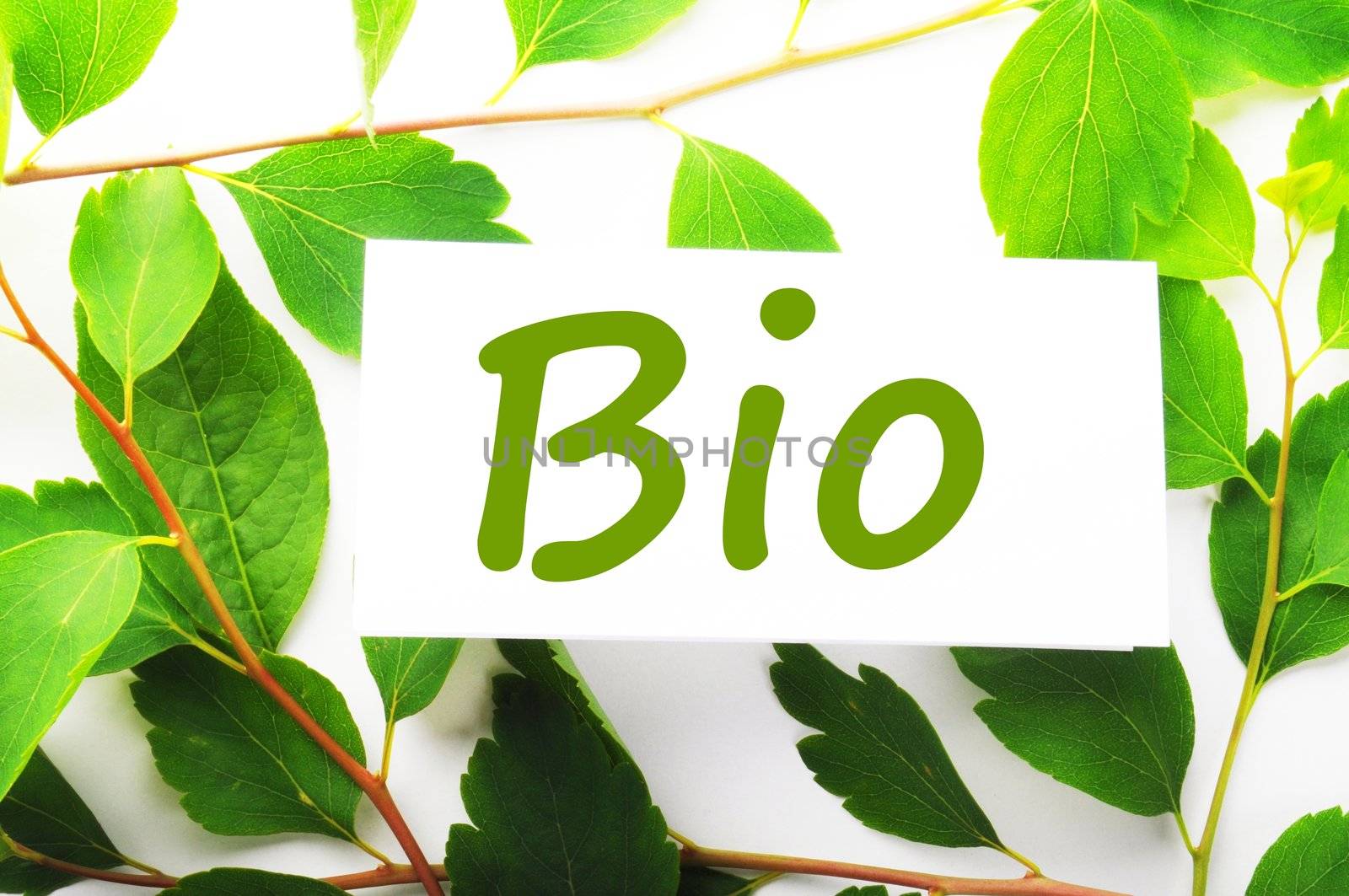 bio concept with word on nature still life