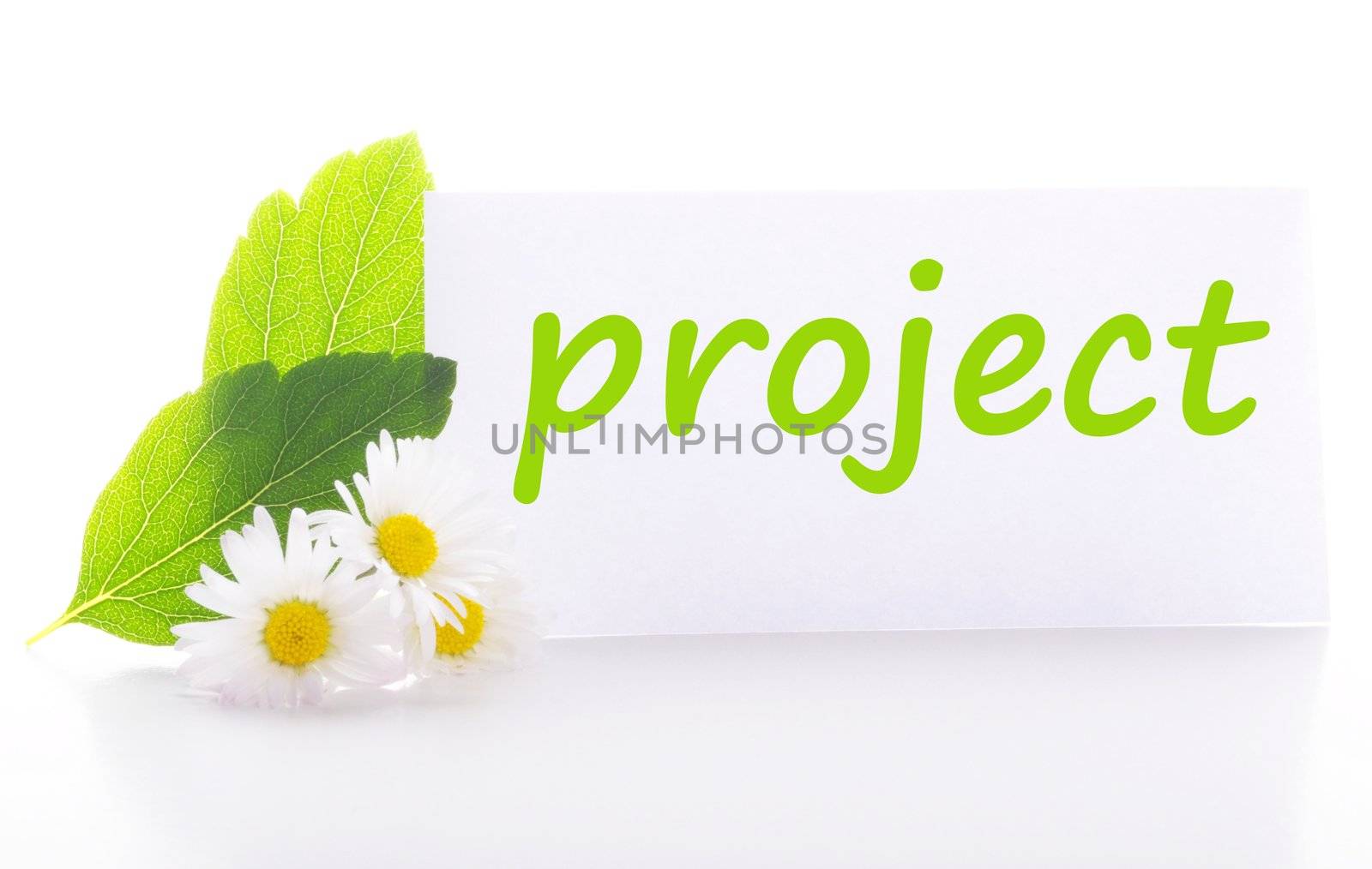 project concept with word on nature still life
