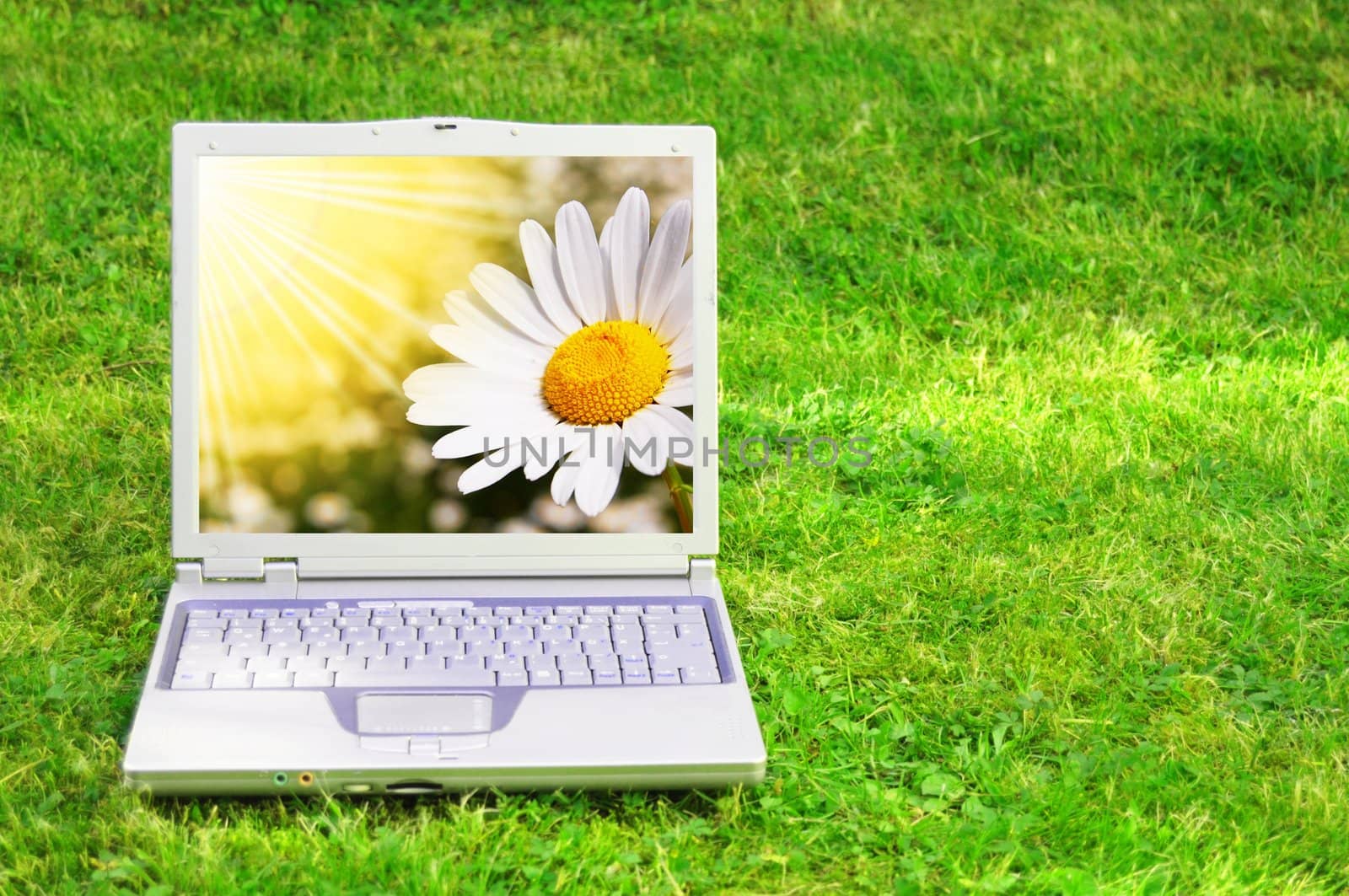 flowers and laptop or notebook on green grass with copyspace