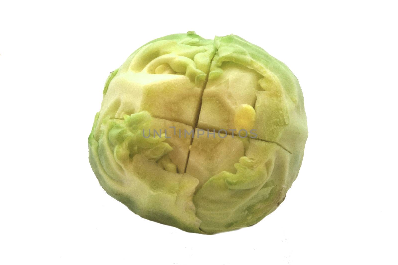 Single raw sprout