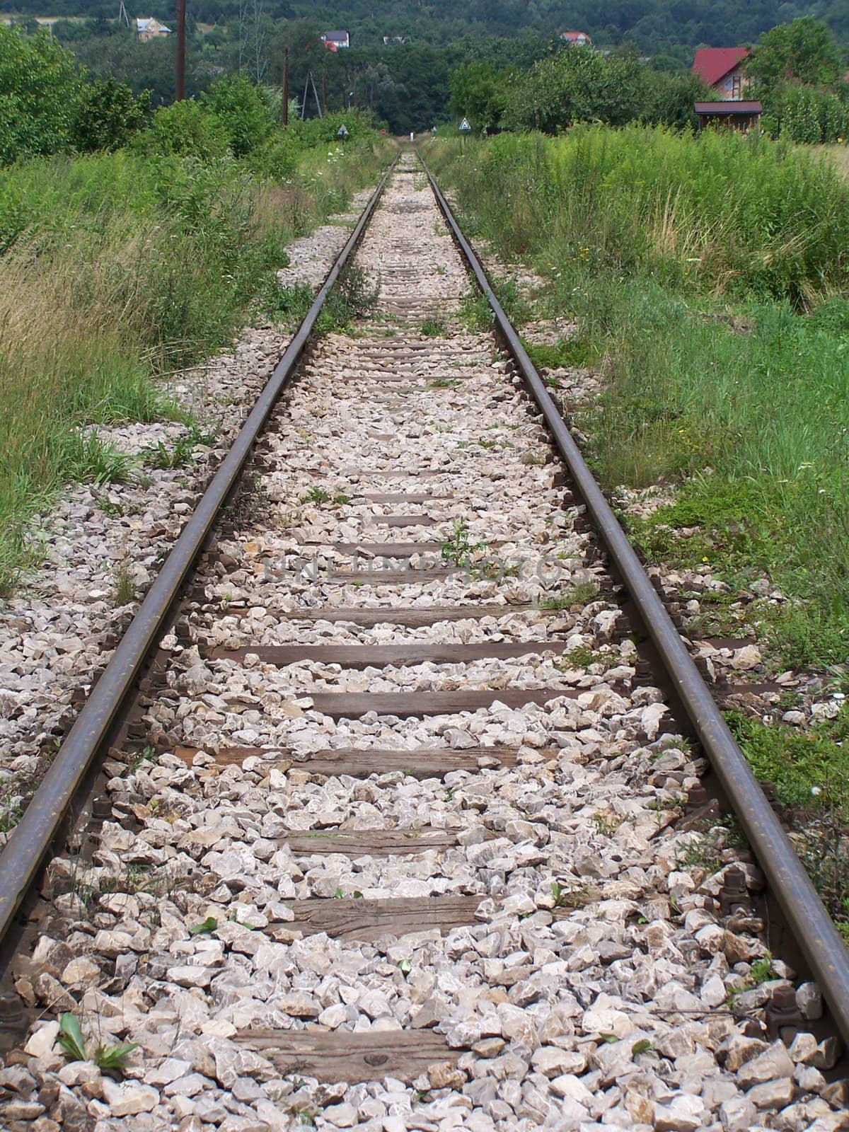 rail tracks by alexwhite