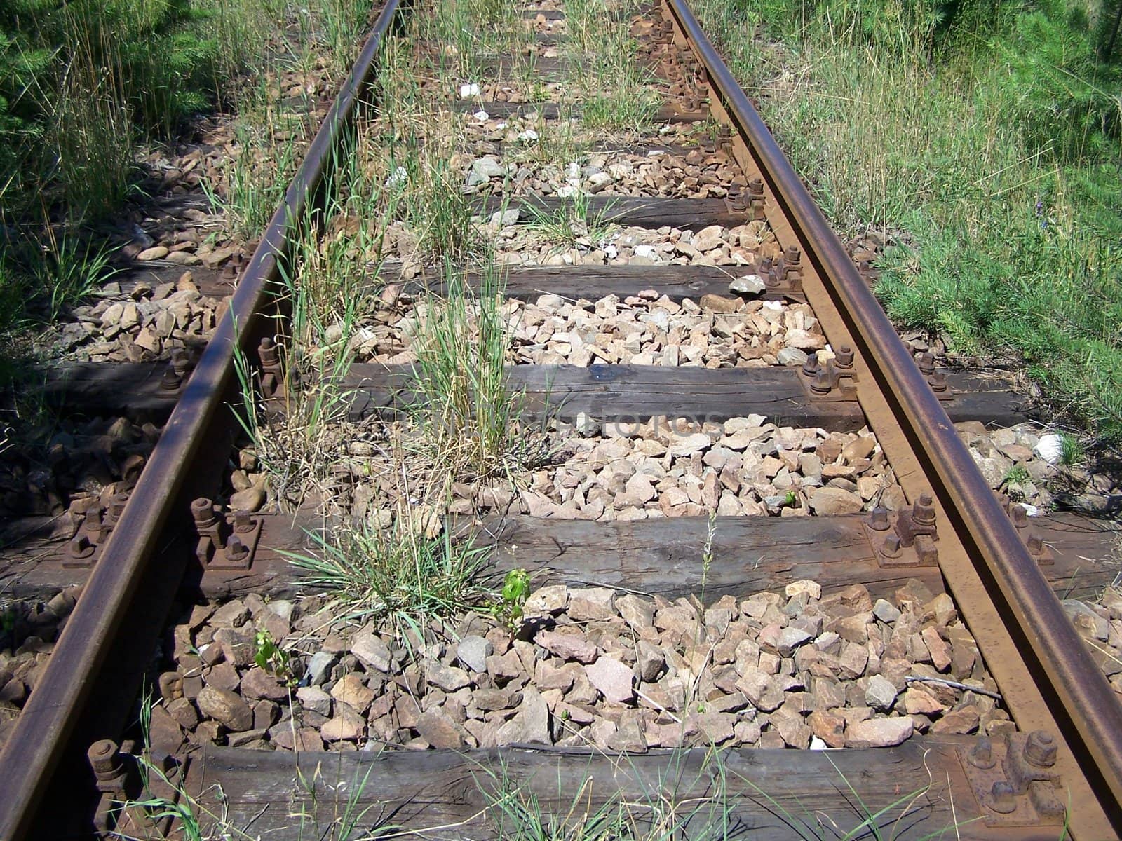 rail tracks by alexwhite