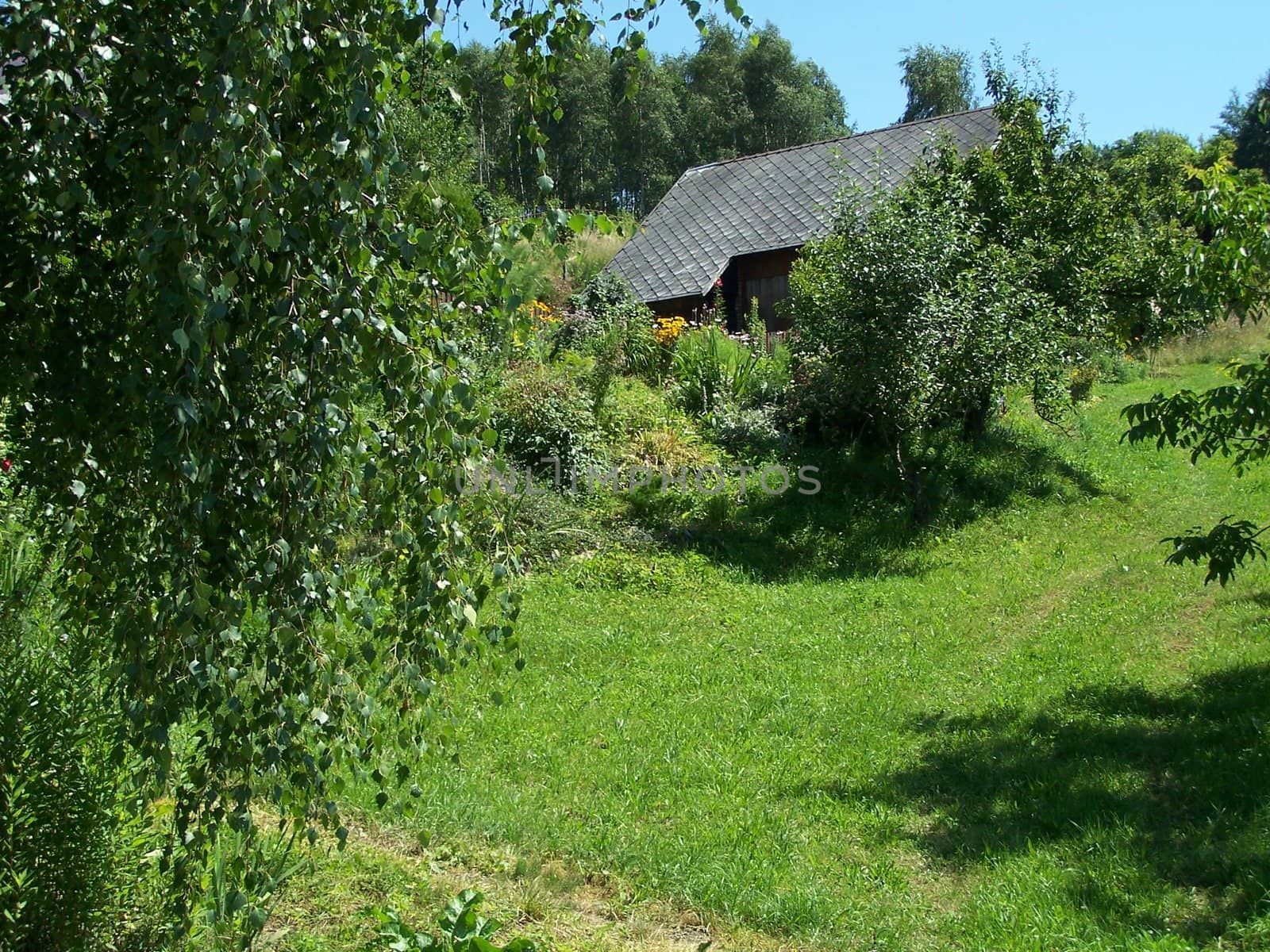 house on the hill in summer