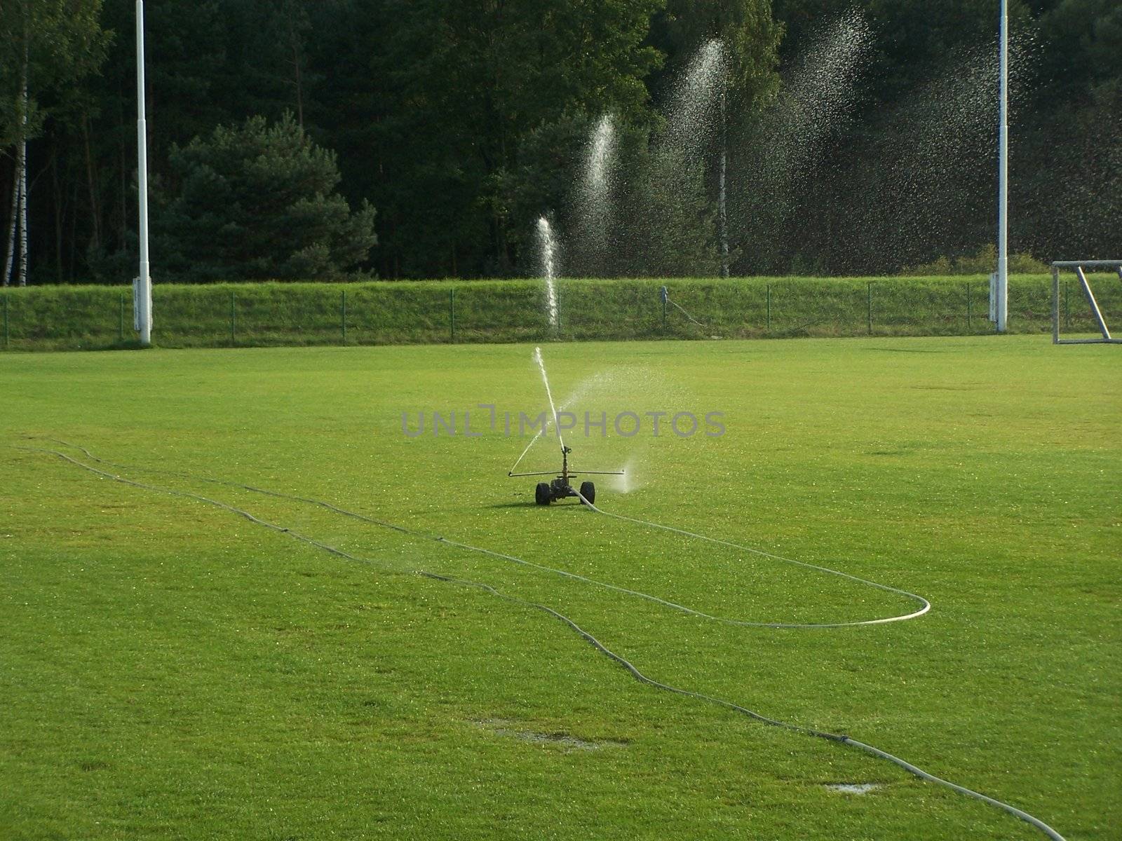 sprinkler