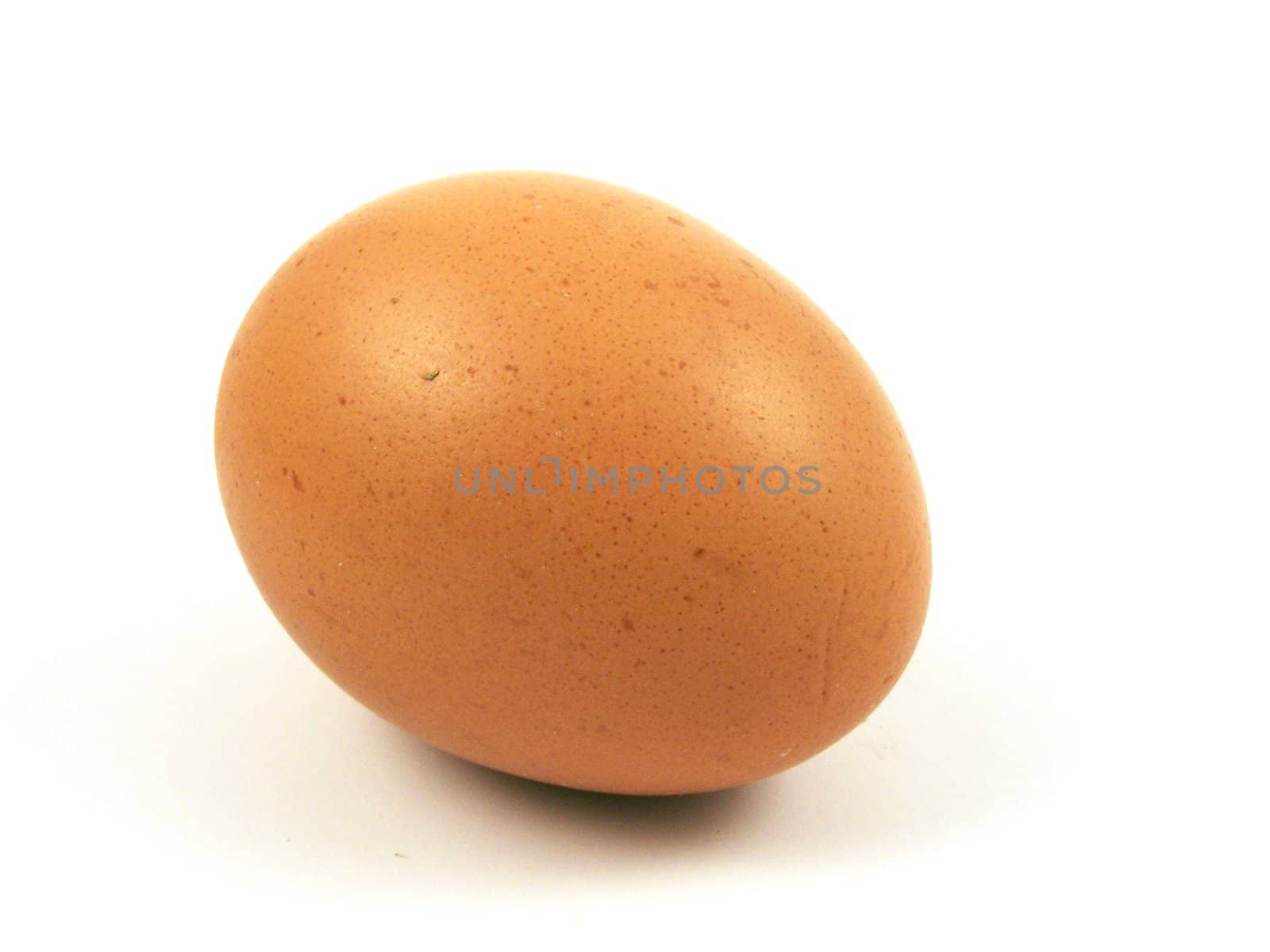 egg isolated