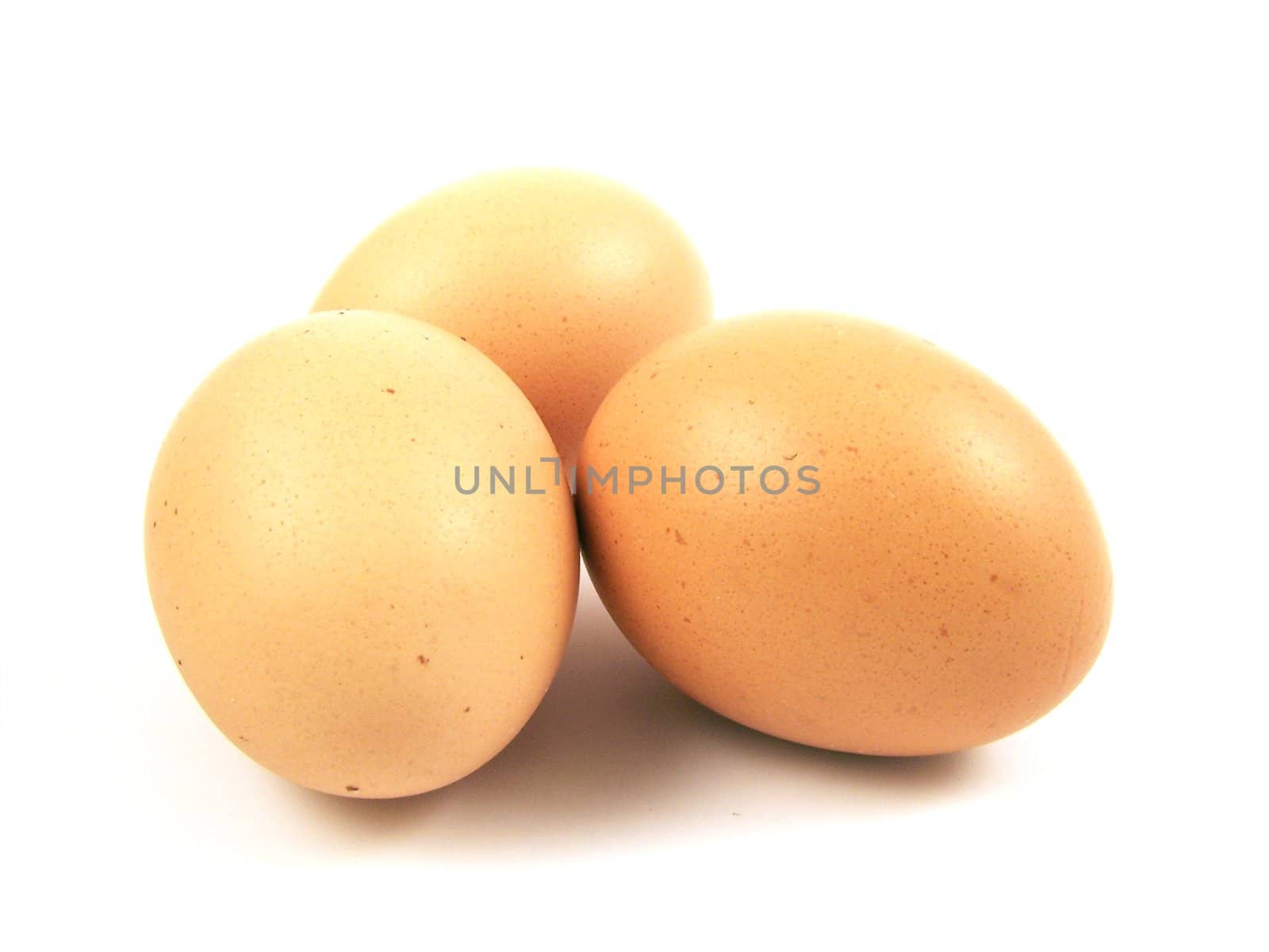 eggs isolated