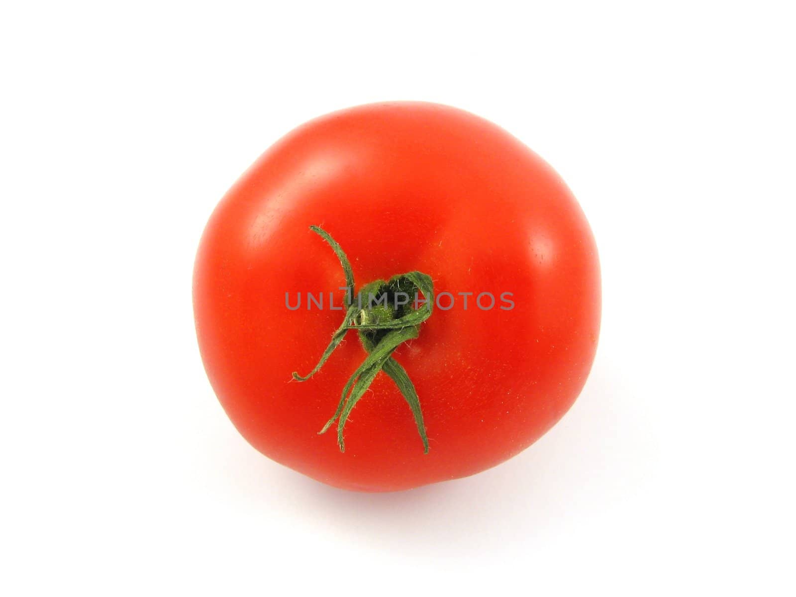 red tomato isolated in studio