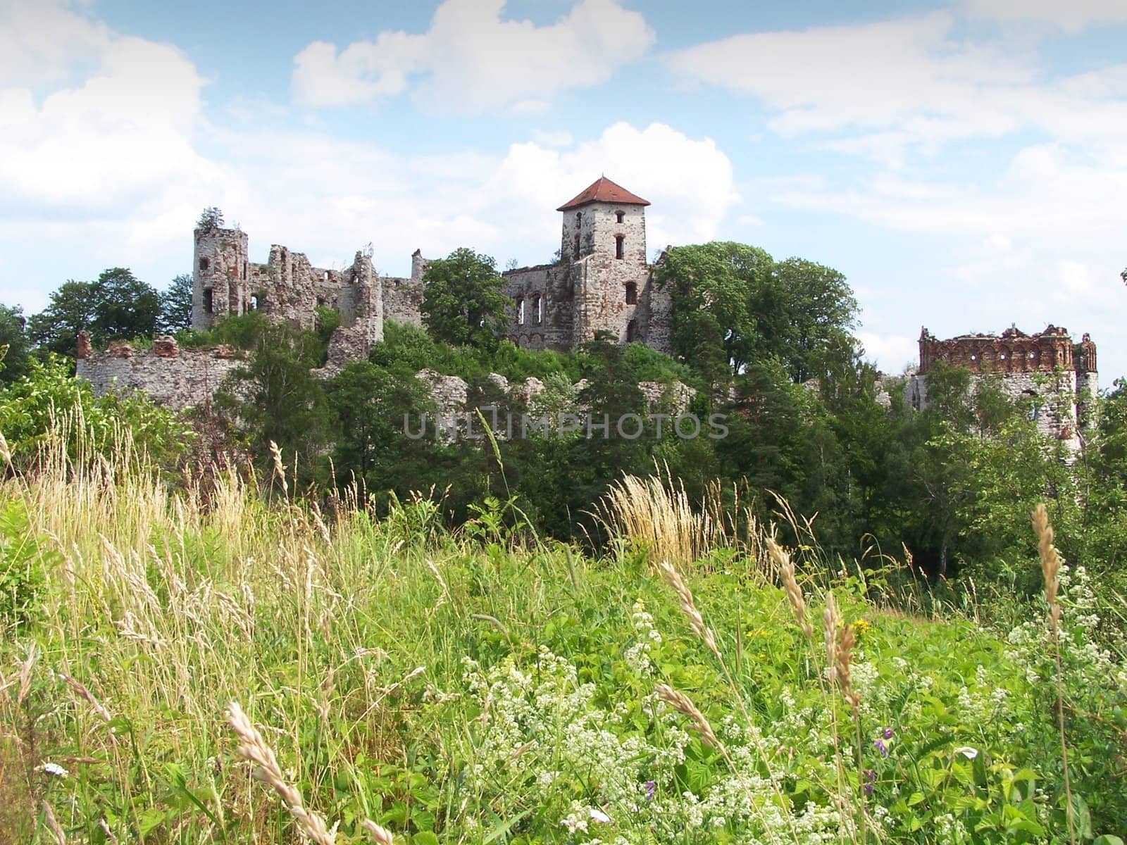 old ruined castle