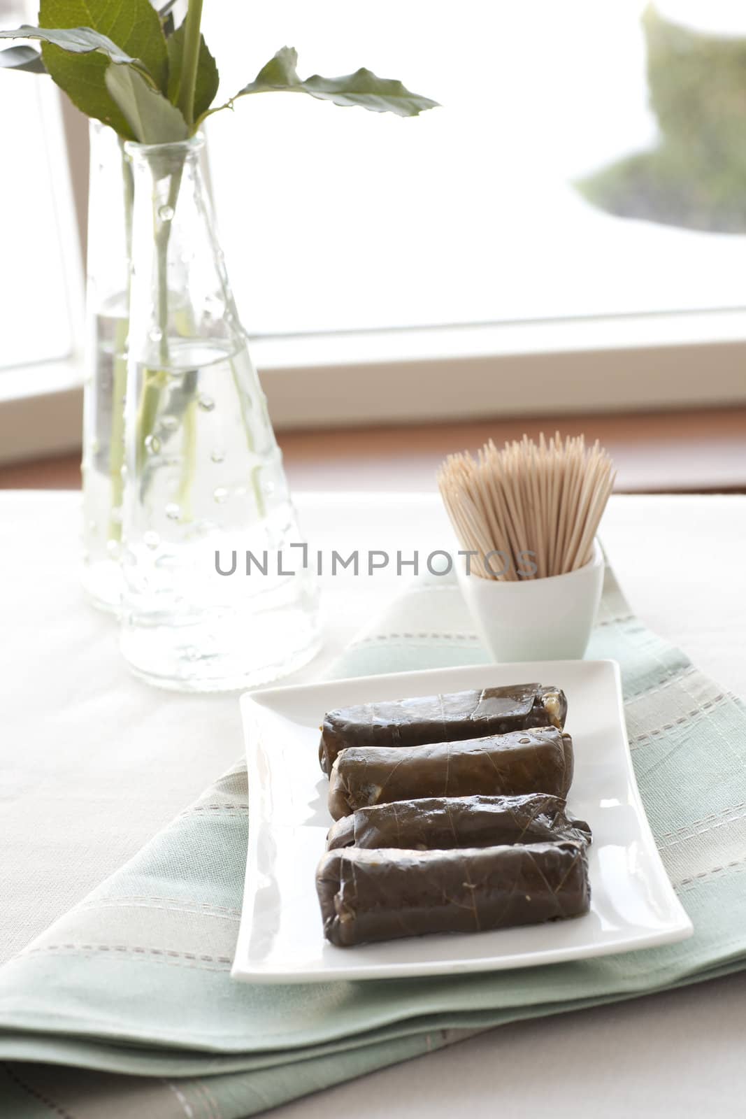 Appetizers: fresh grape leaves stuffed with rice.