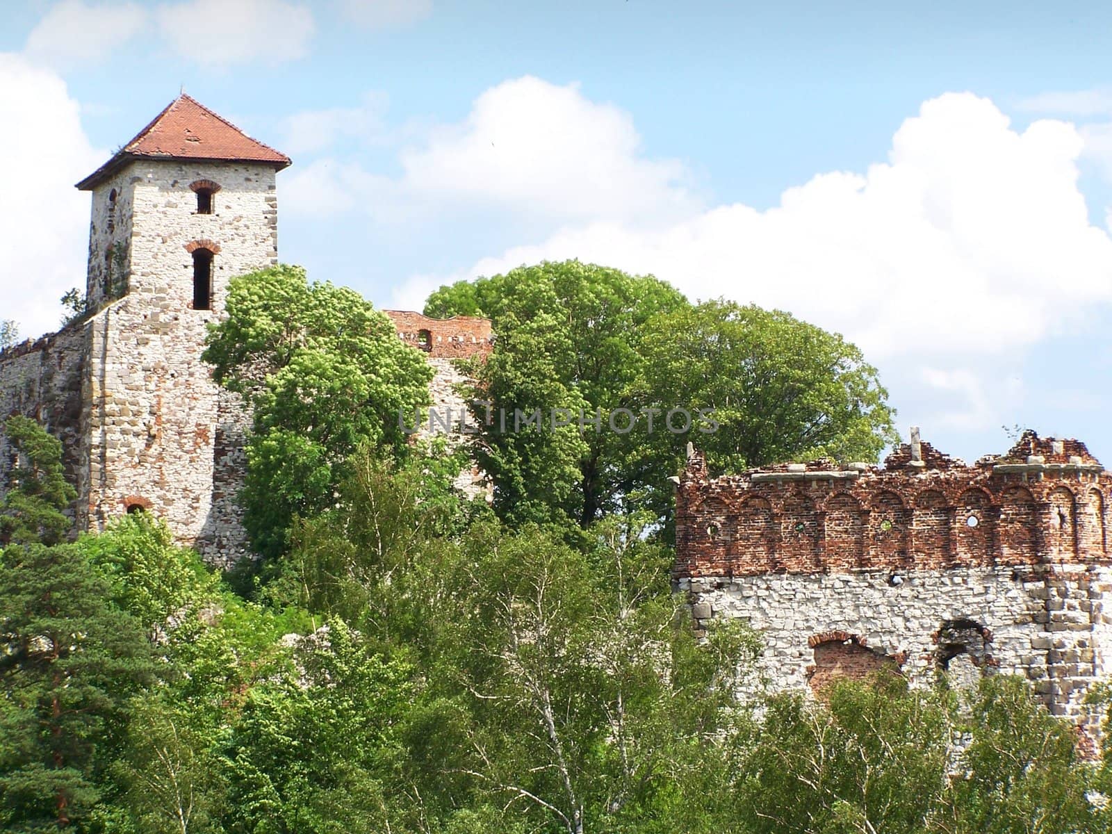 old ruined castle