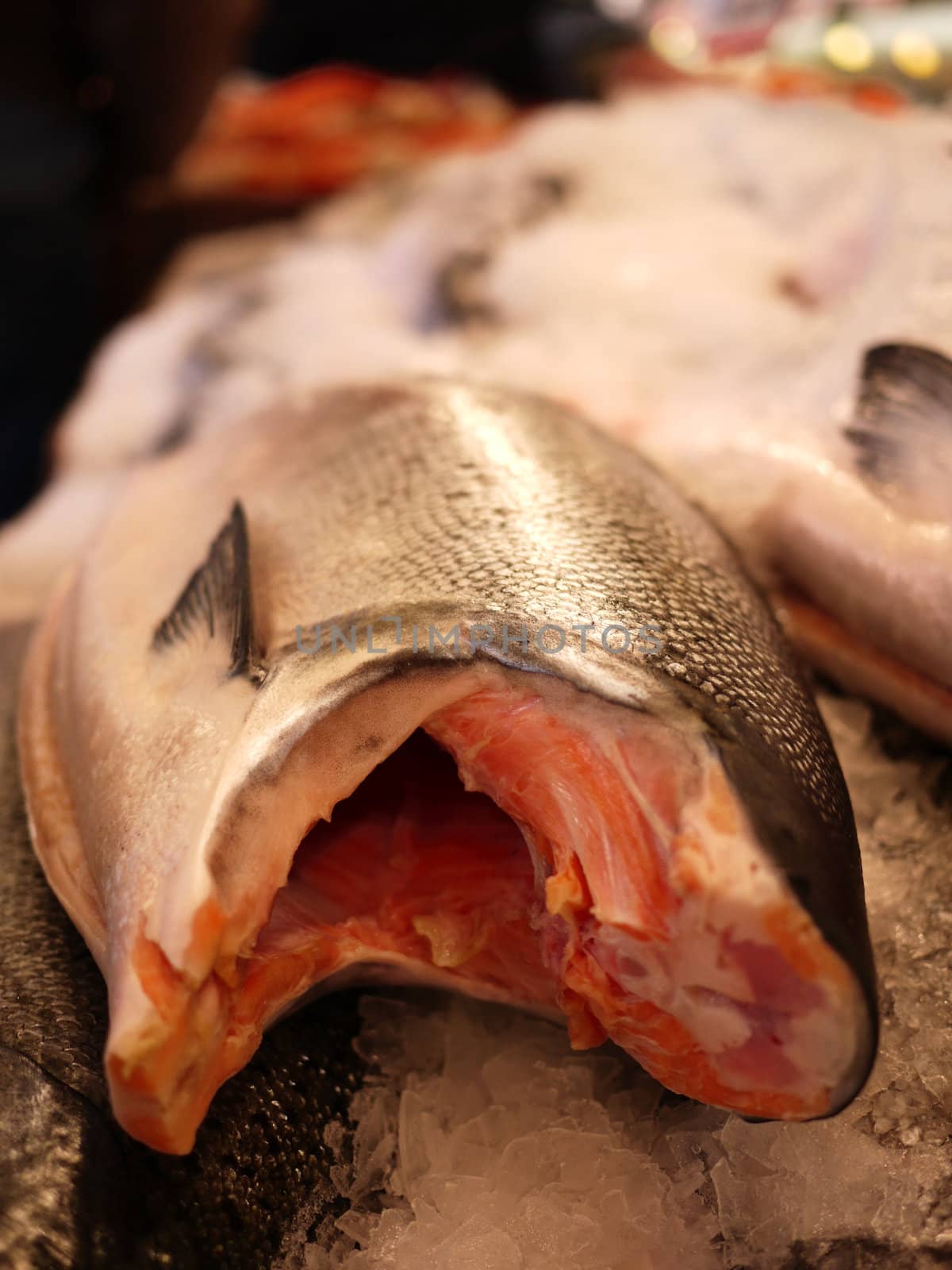 Fresh Salmon at the market