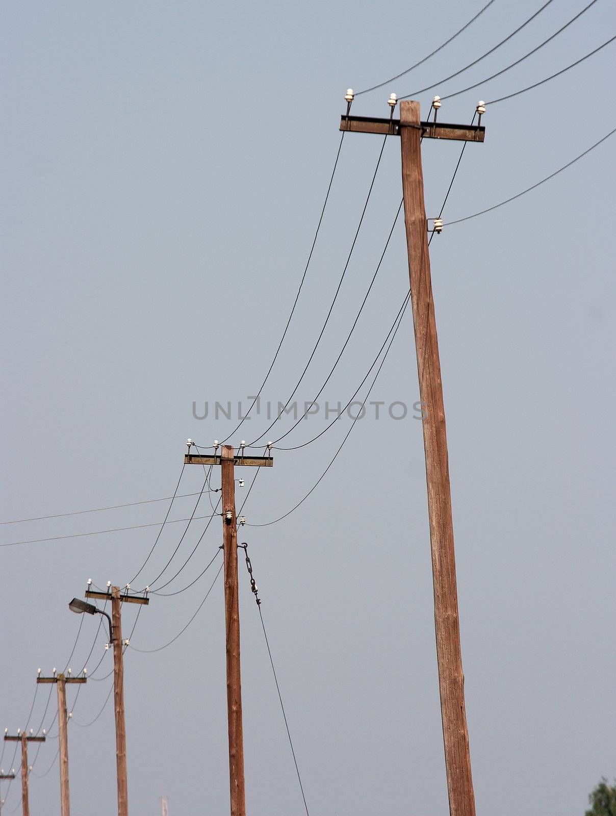 Wooden electric poles