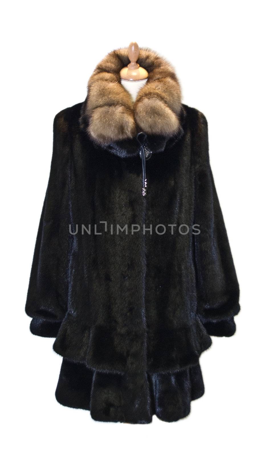 the Winter beauty in fur coat for women