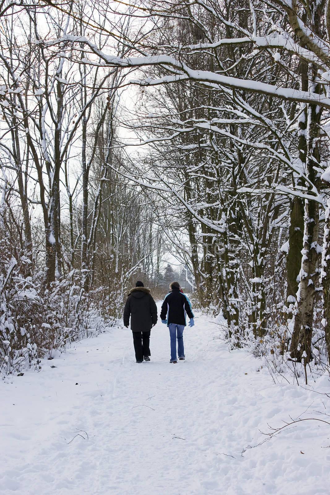 walking in the park in winter