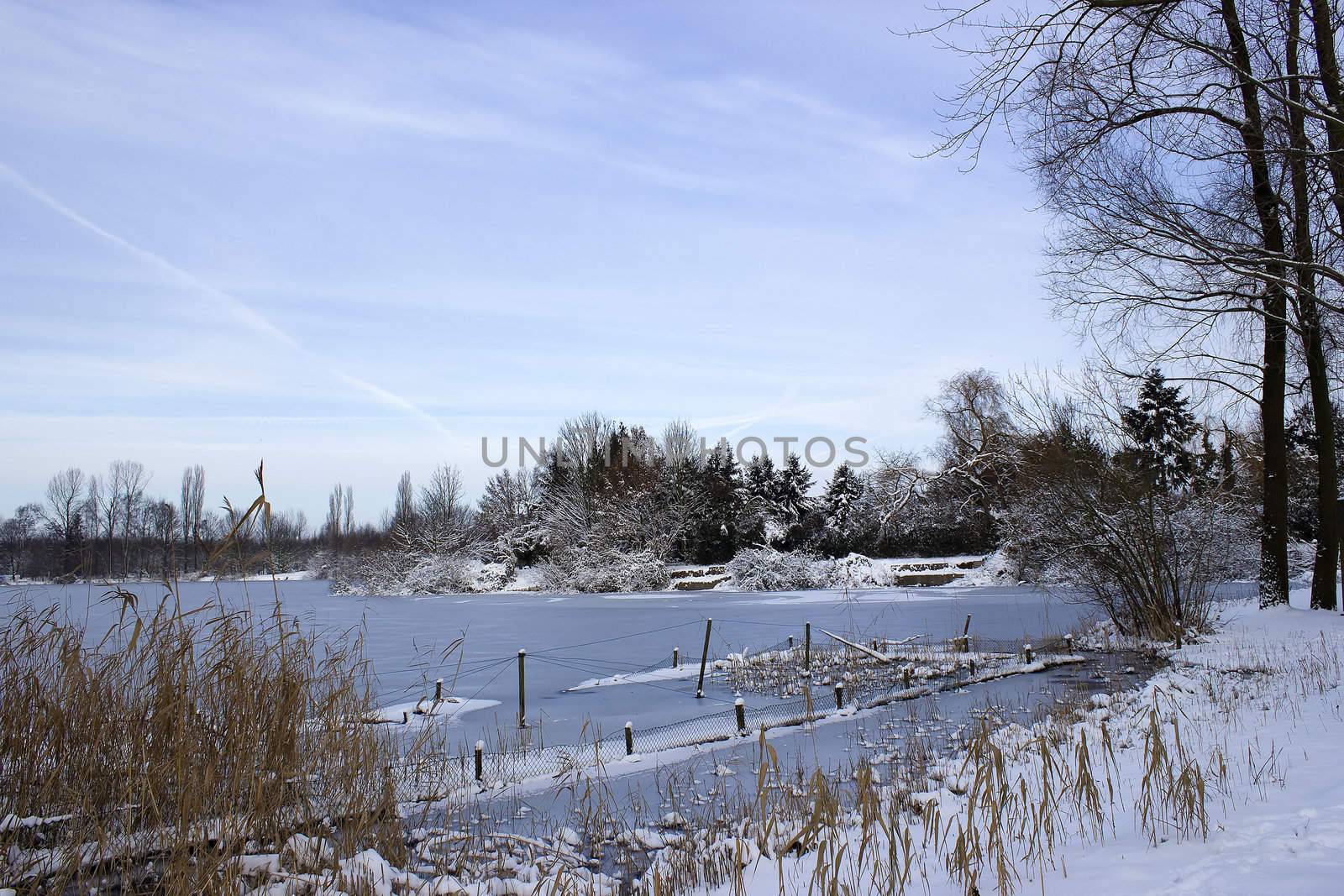 winter landscape with frozen lake