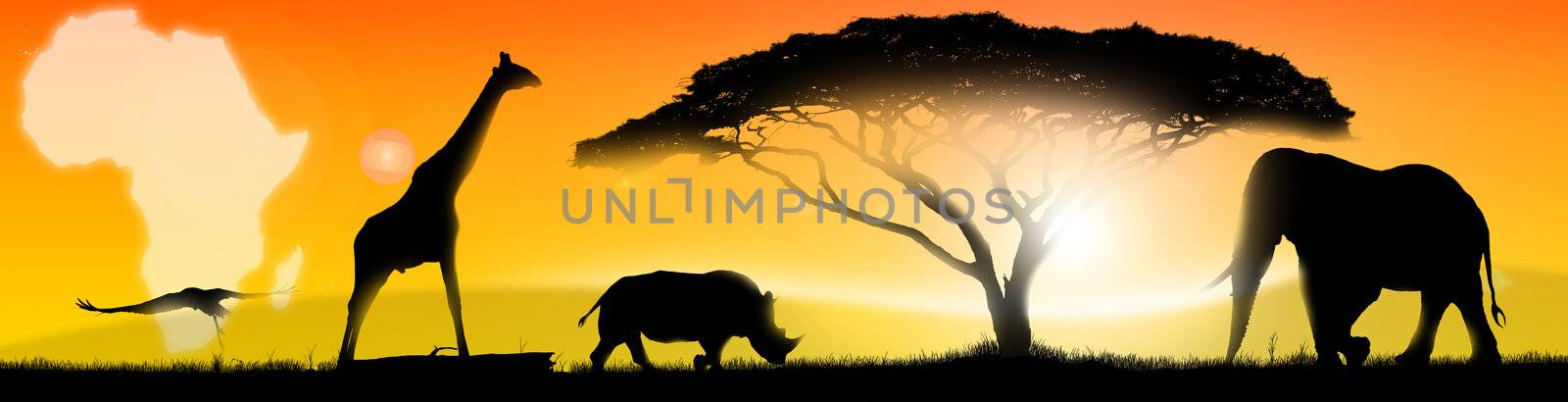 Illustration of an african landscape of fantasy, with a silhouette of a tree, elephant, rhino, giraffe and stork